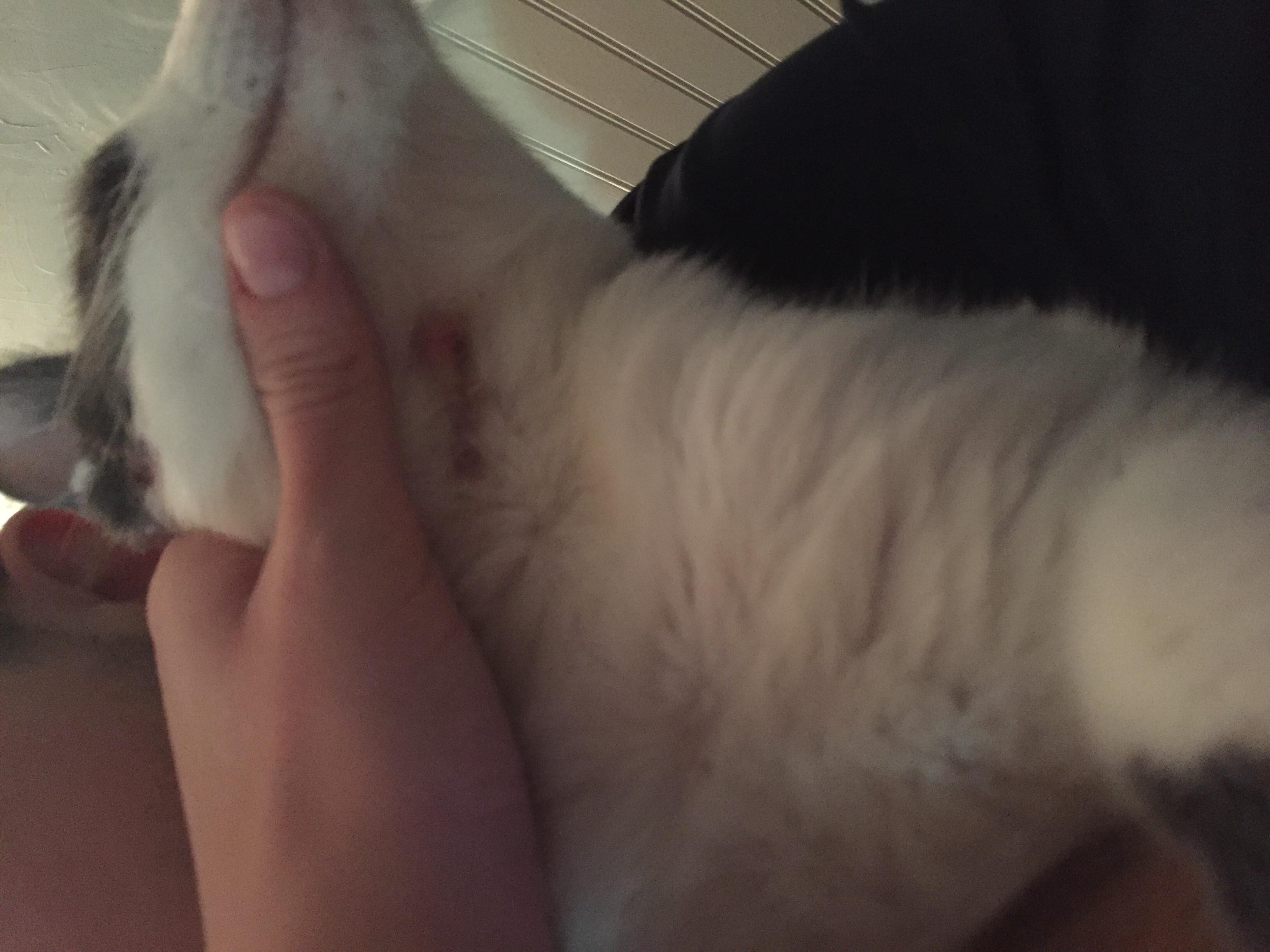 Question details sensitive content