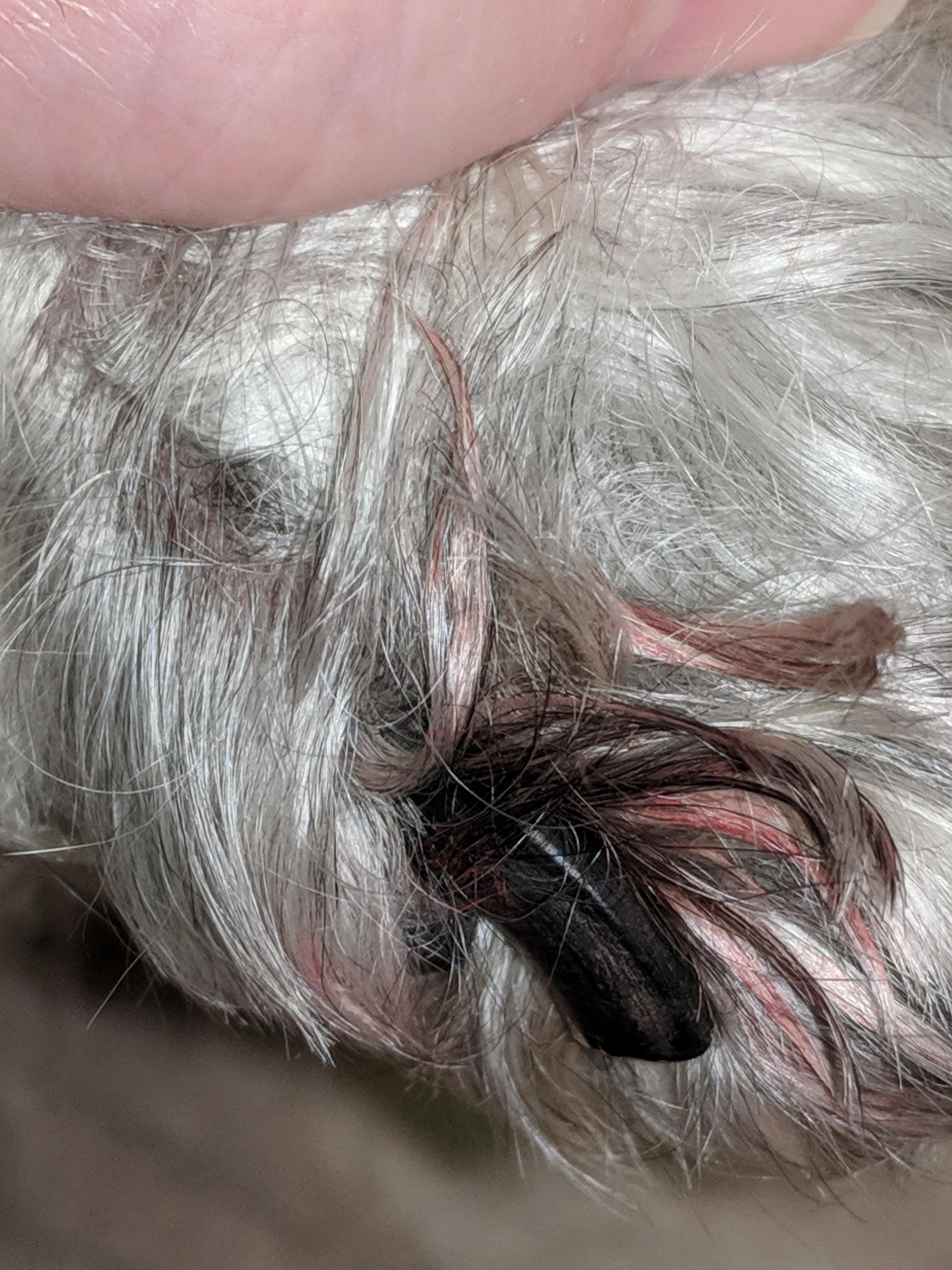 Question details sensitive content