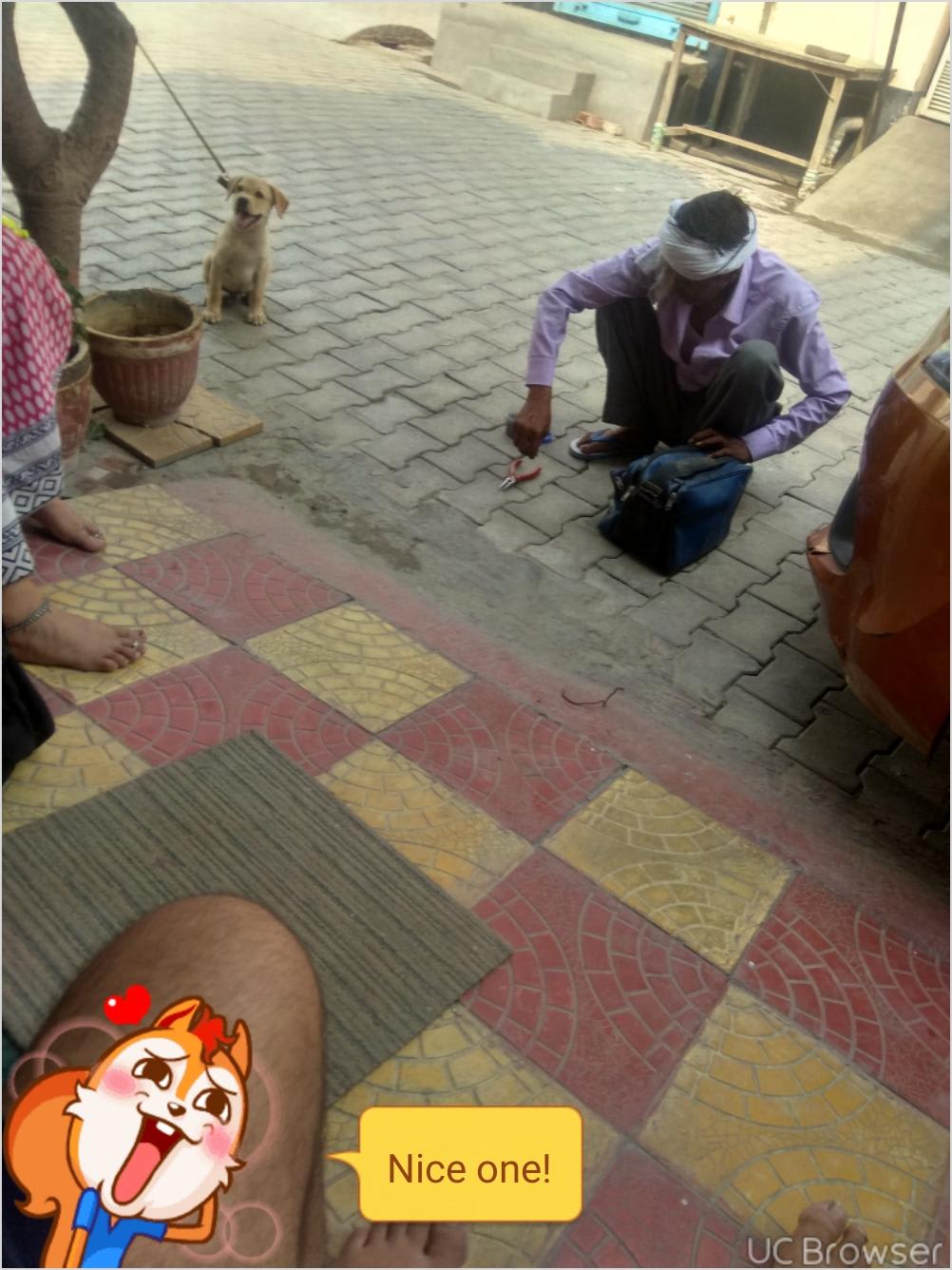 Question details sensitive content