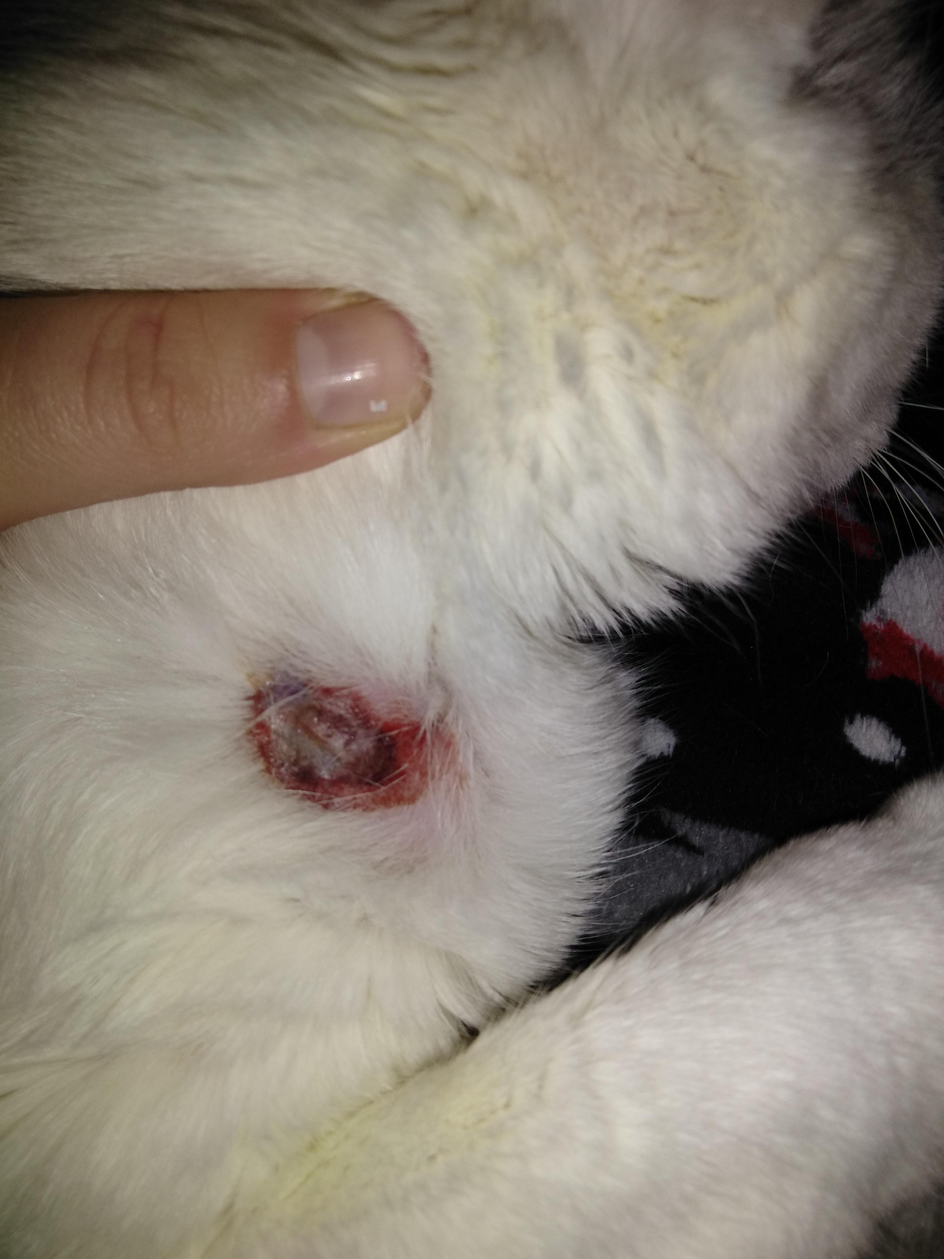 Question details sensitive content