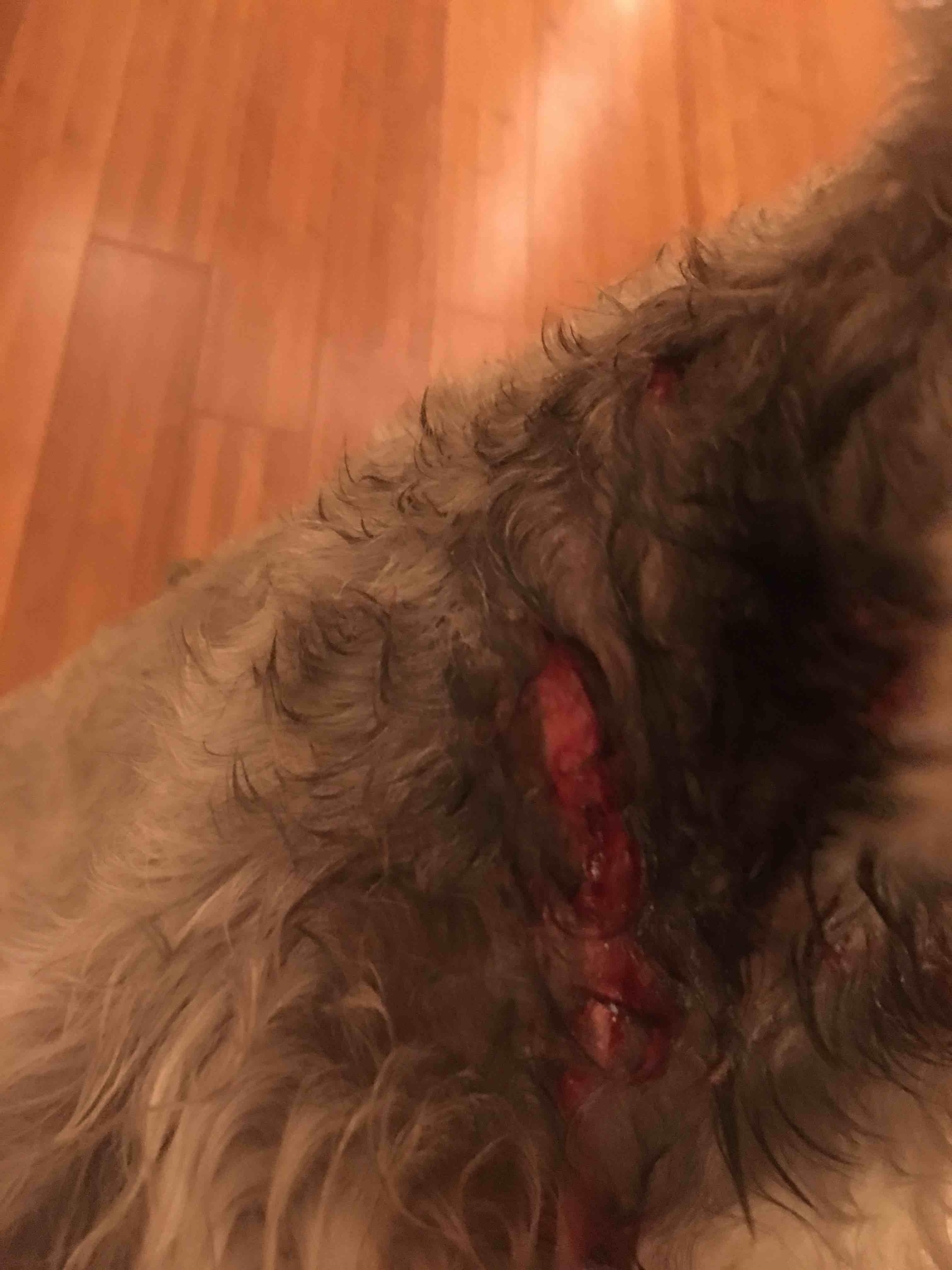 Question details sensitive content