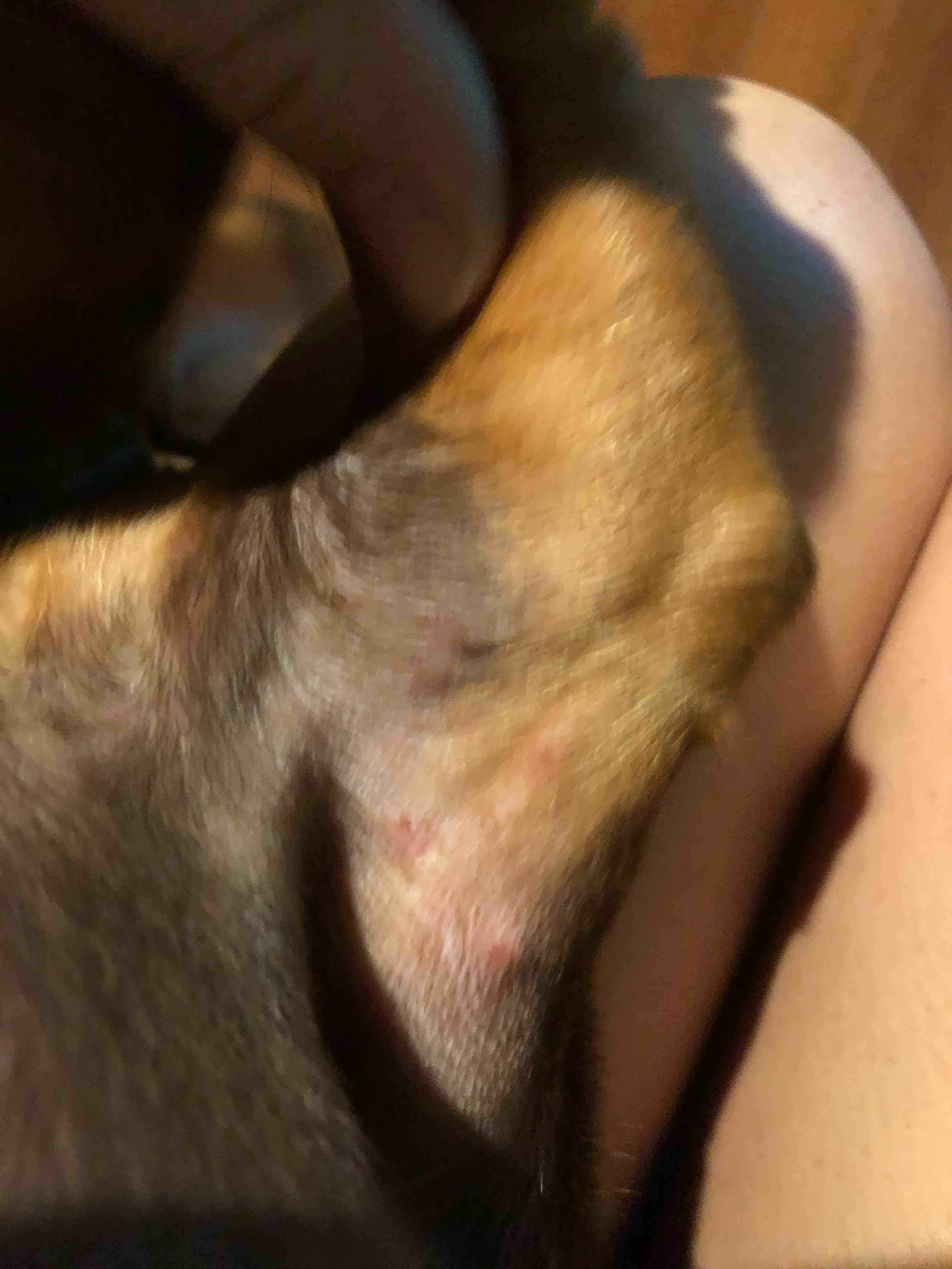 Question details sensitive content