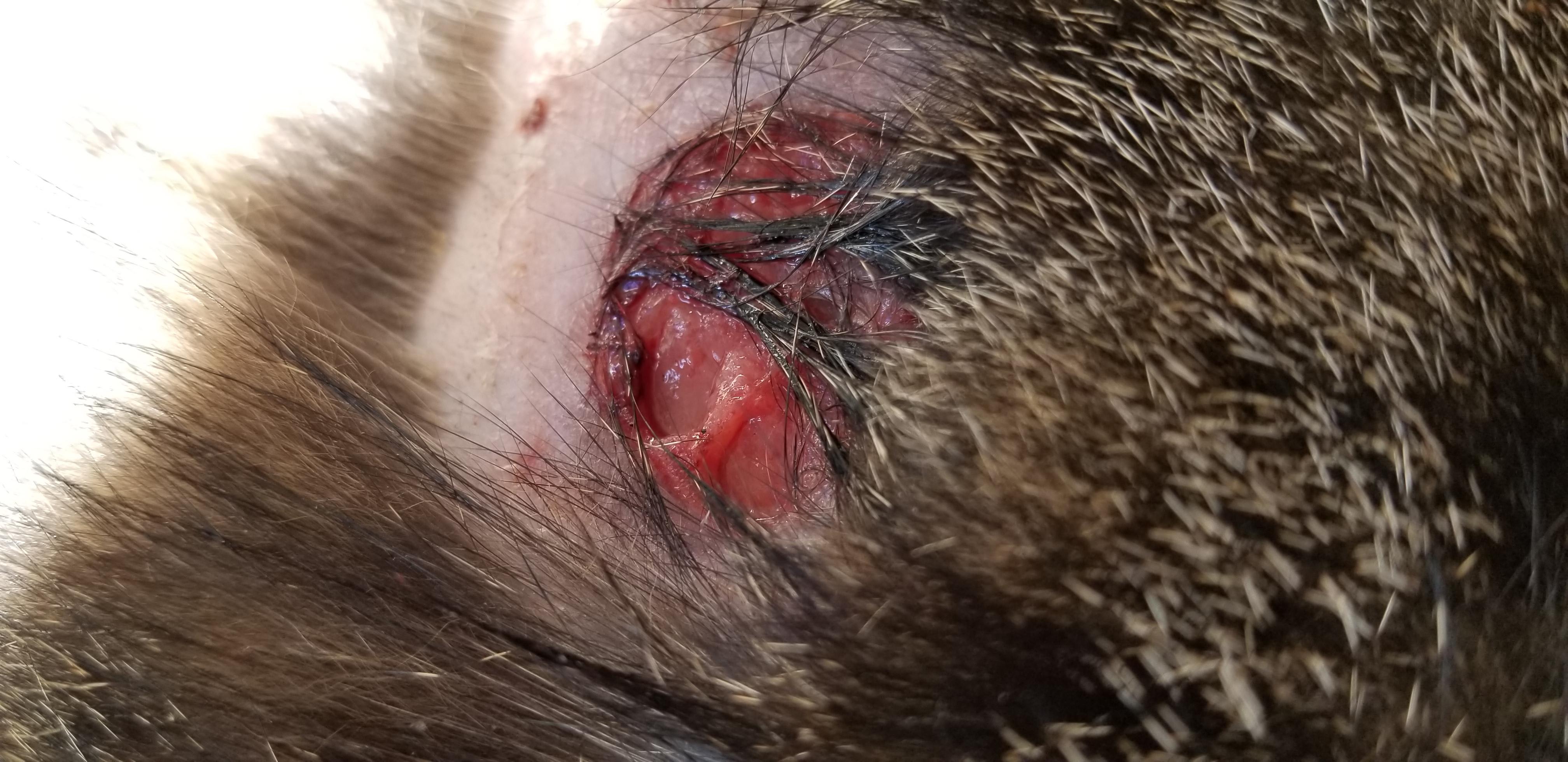 Question details sensitive content