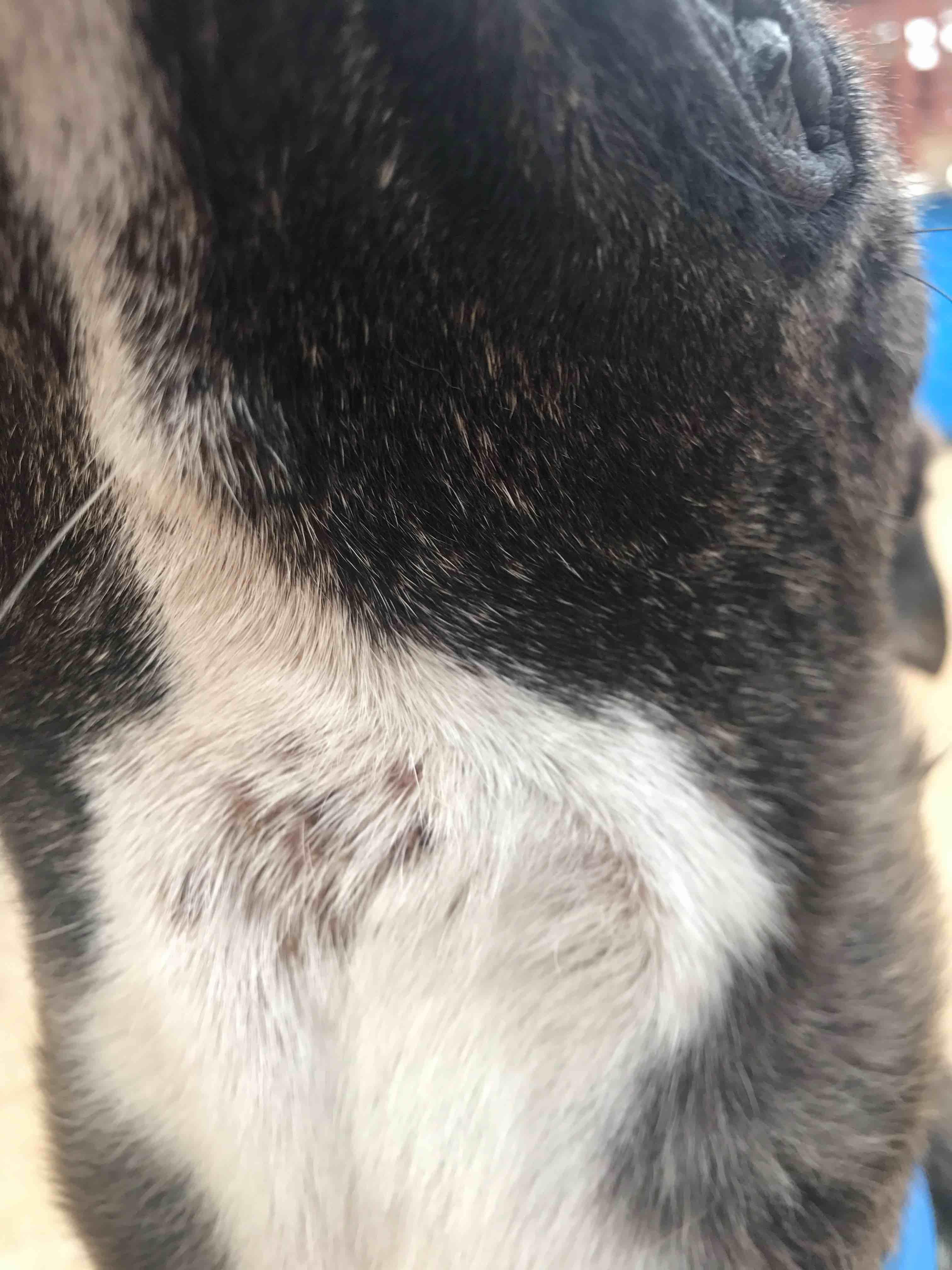 Question details sensitive content