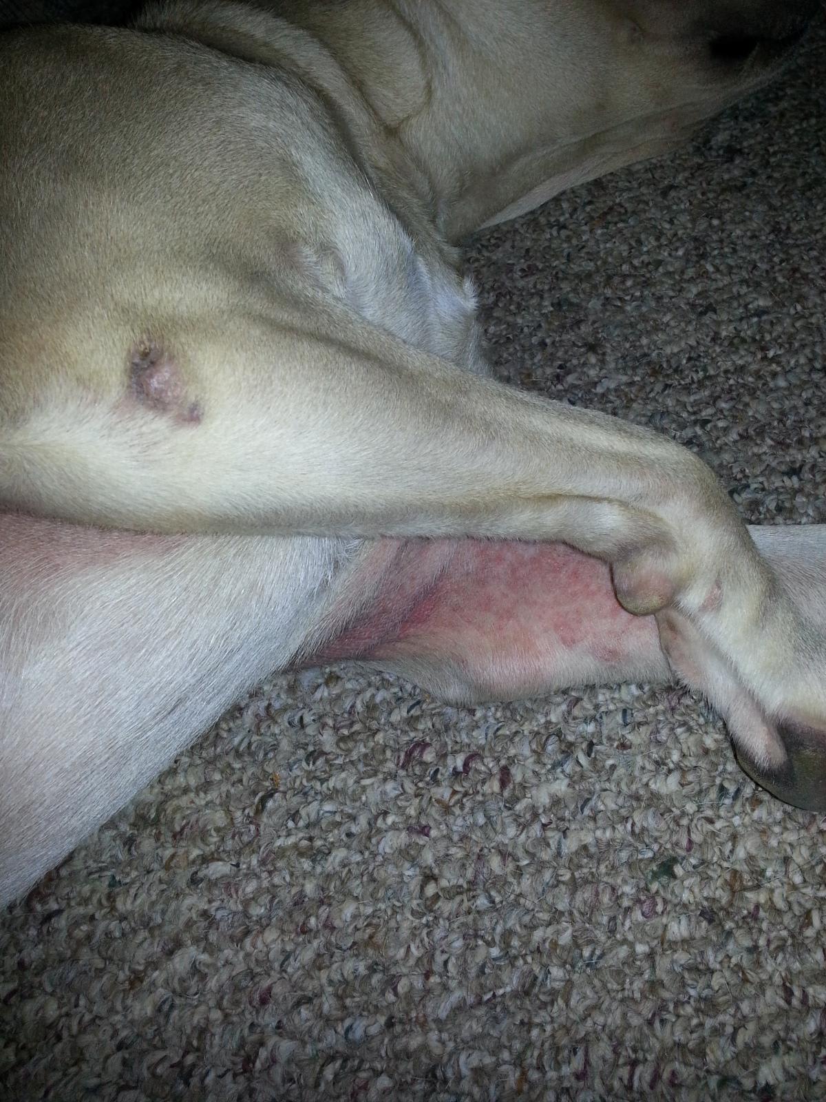 Question details sensitive content