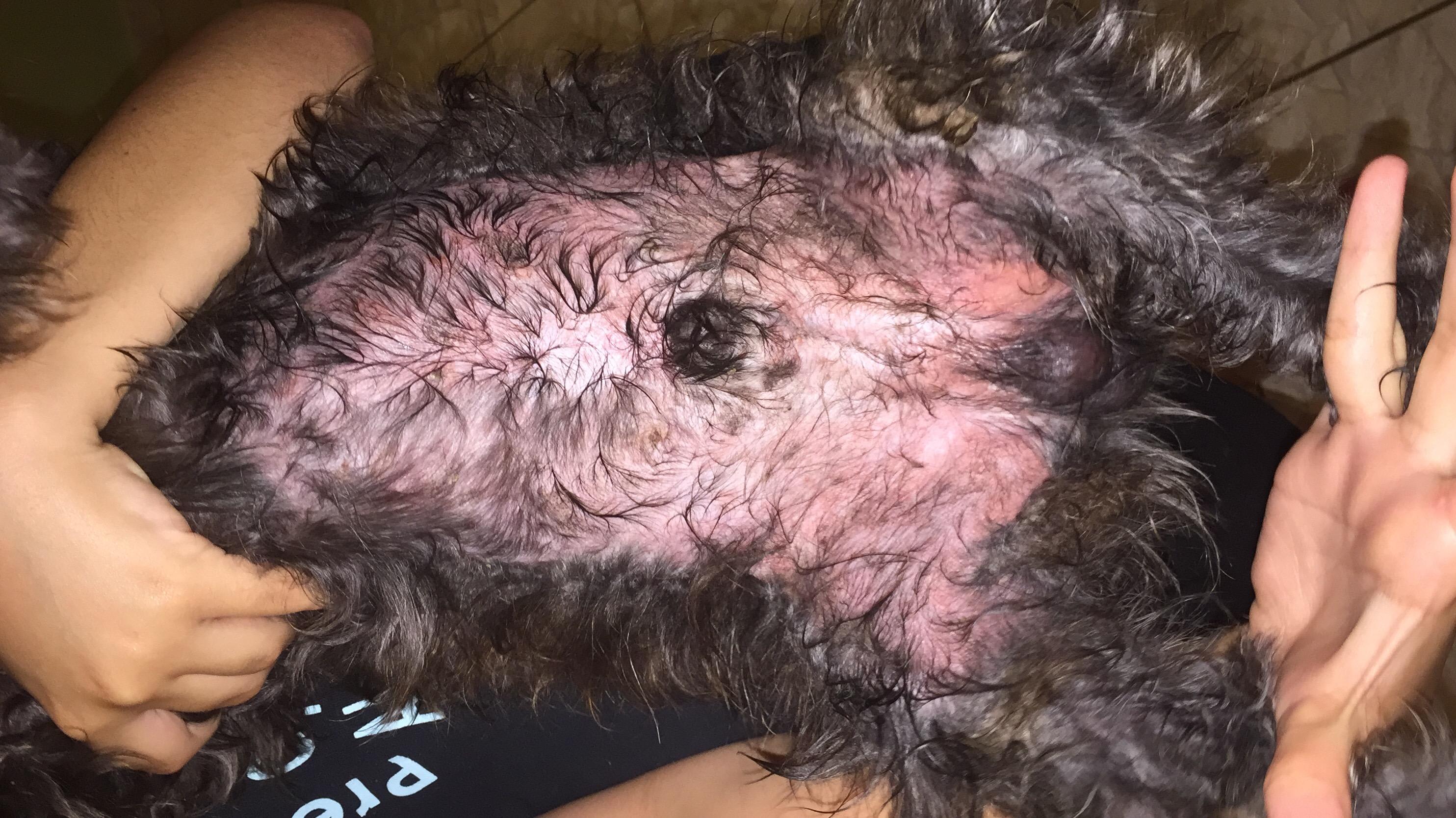 Question details sensitive content