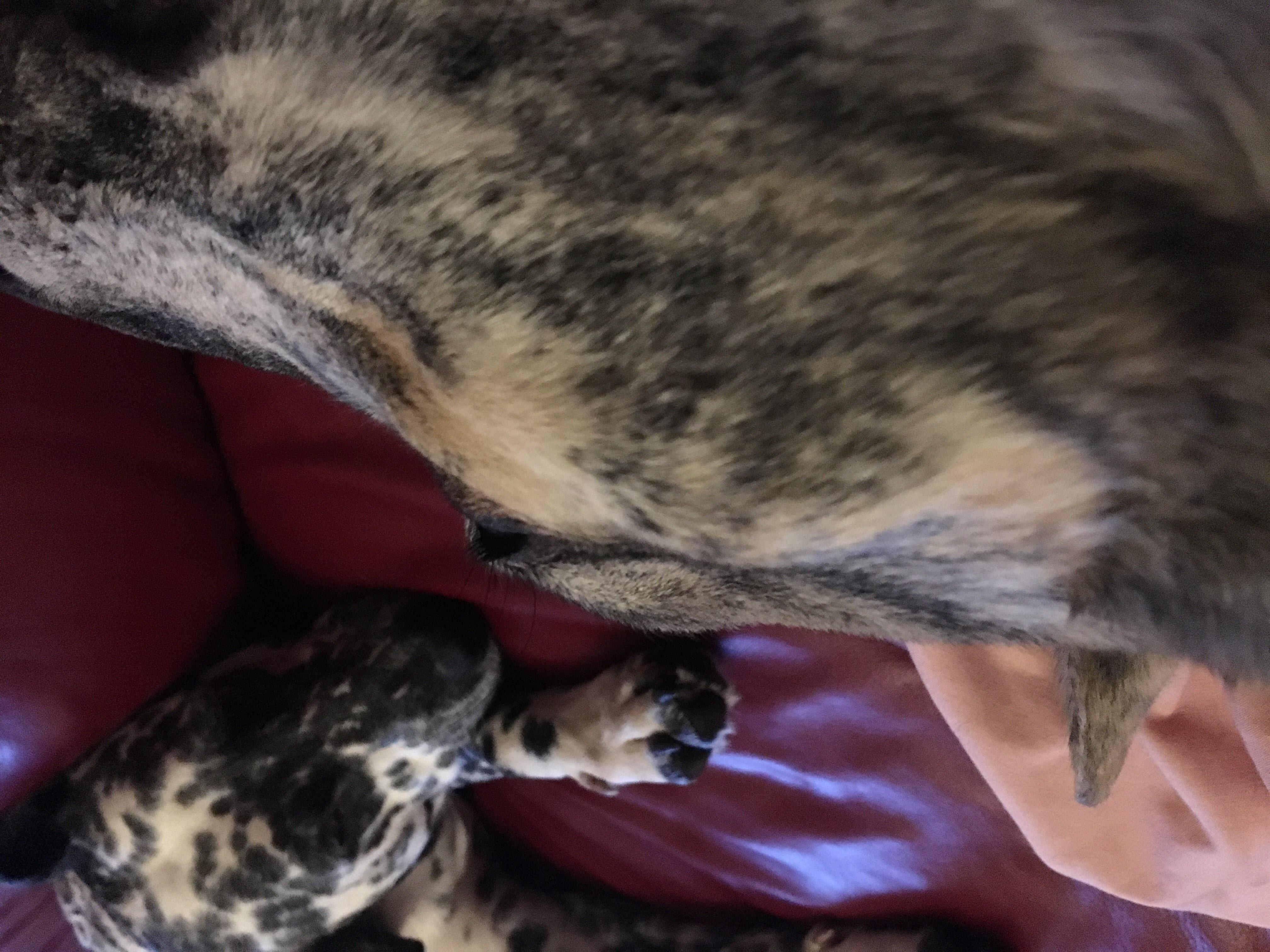 Question details sensitive content