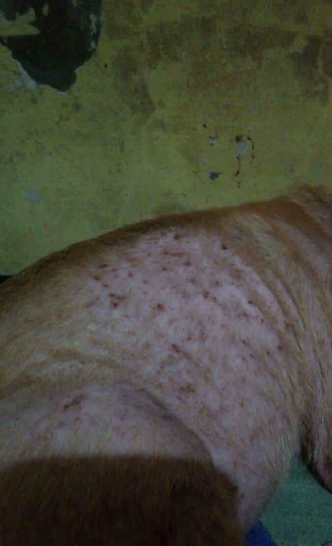 Question details sensitive content