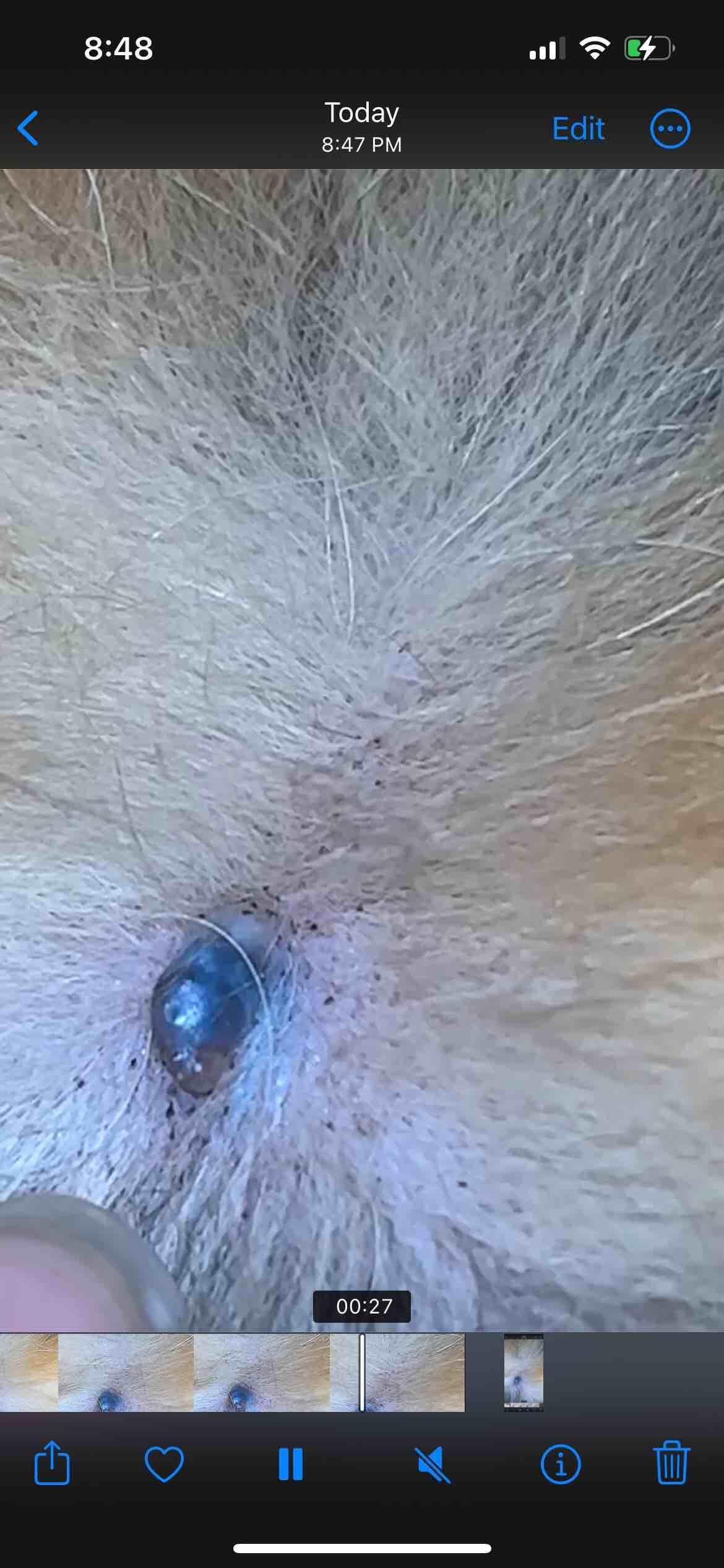 Question details sensitive content