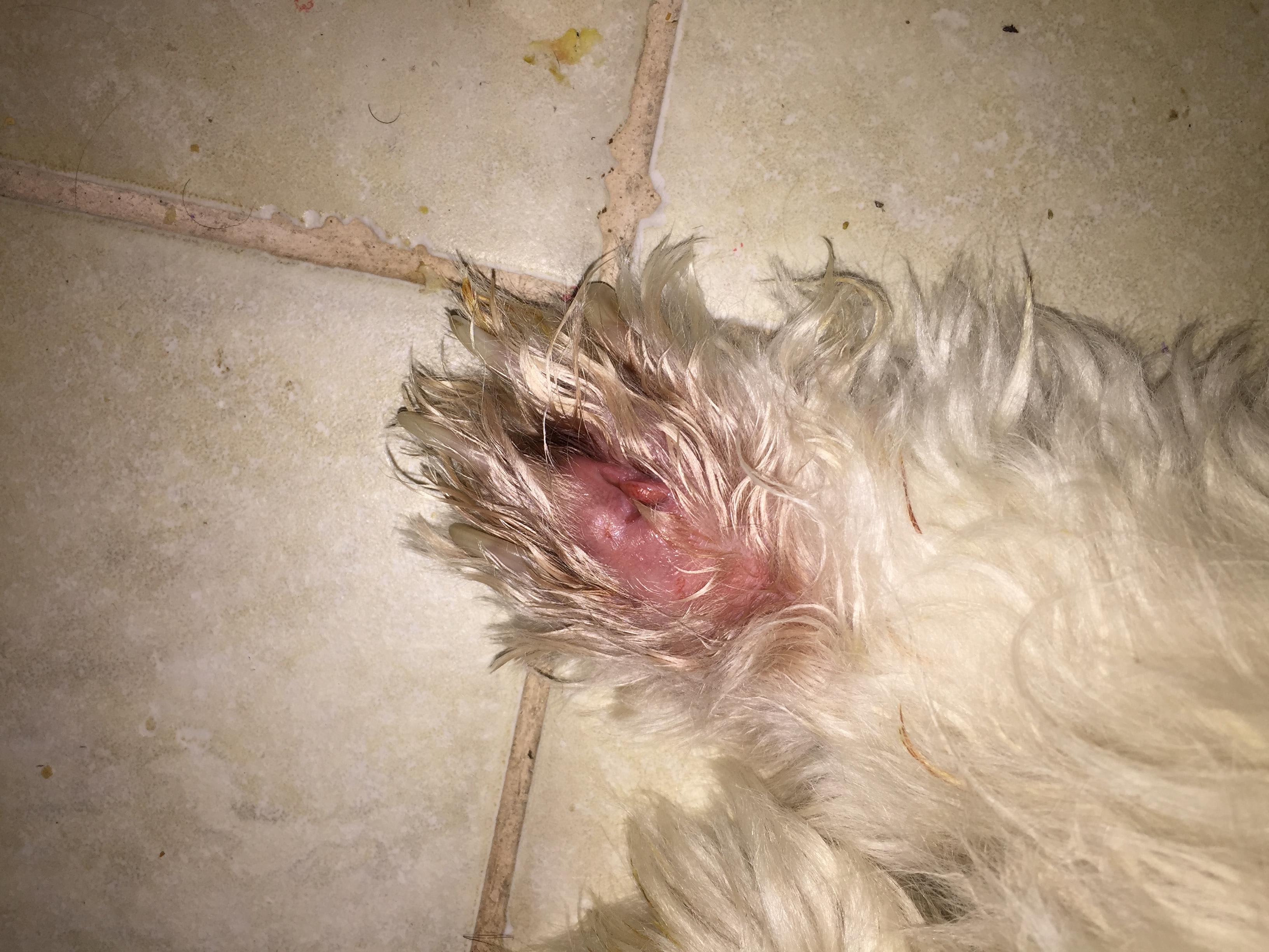 Question details sensitive content