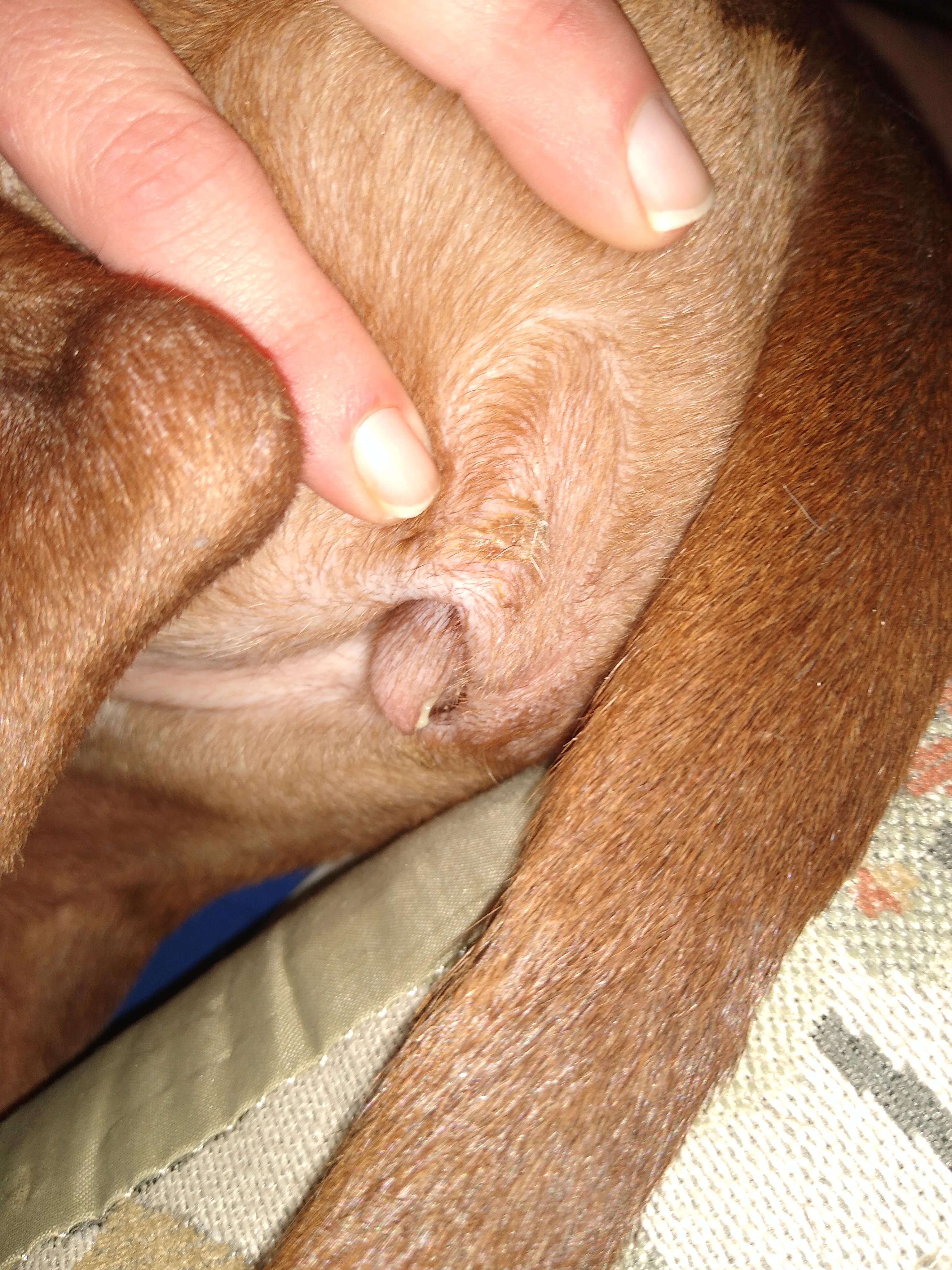 Question details sensitive content