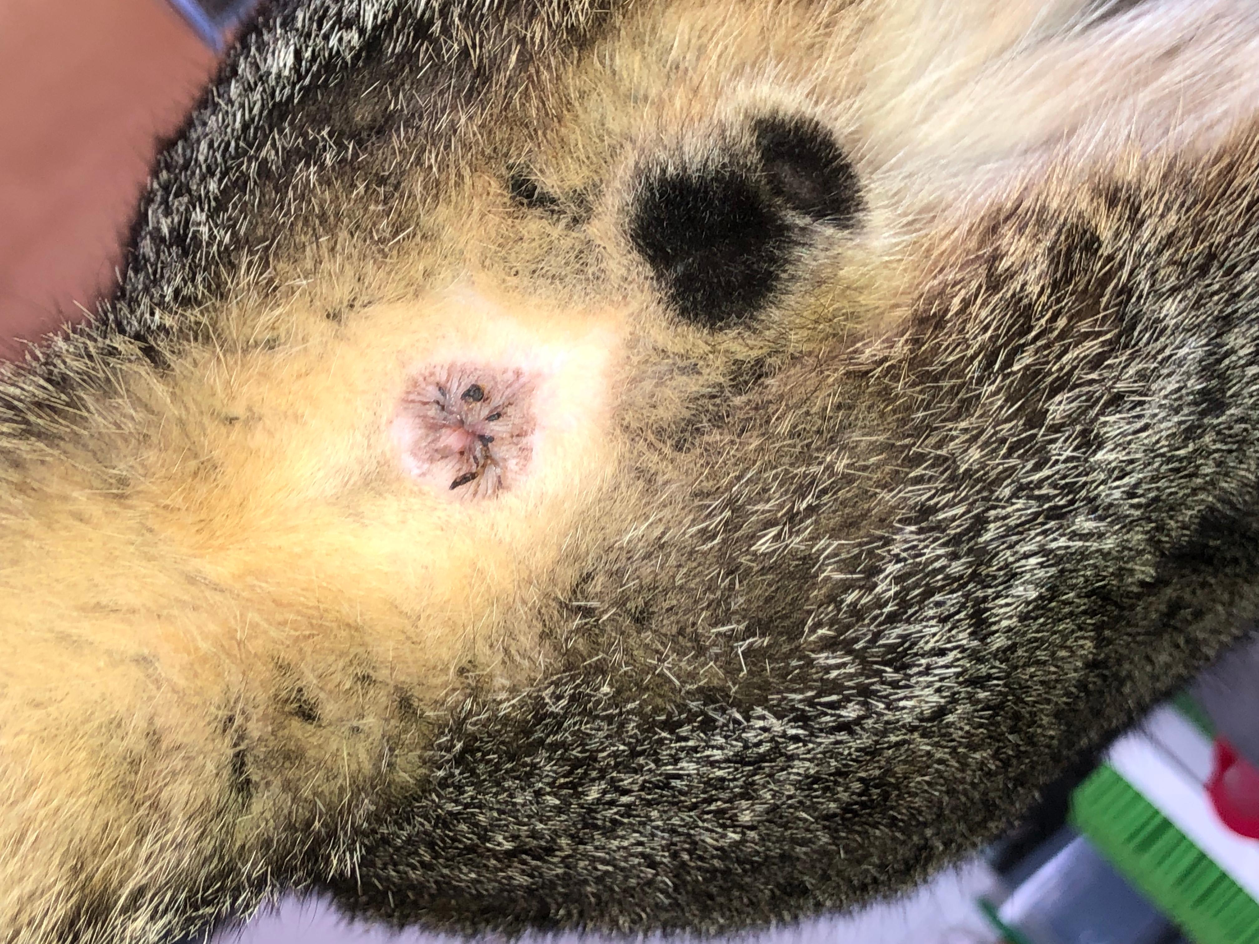 Question details sensitive content