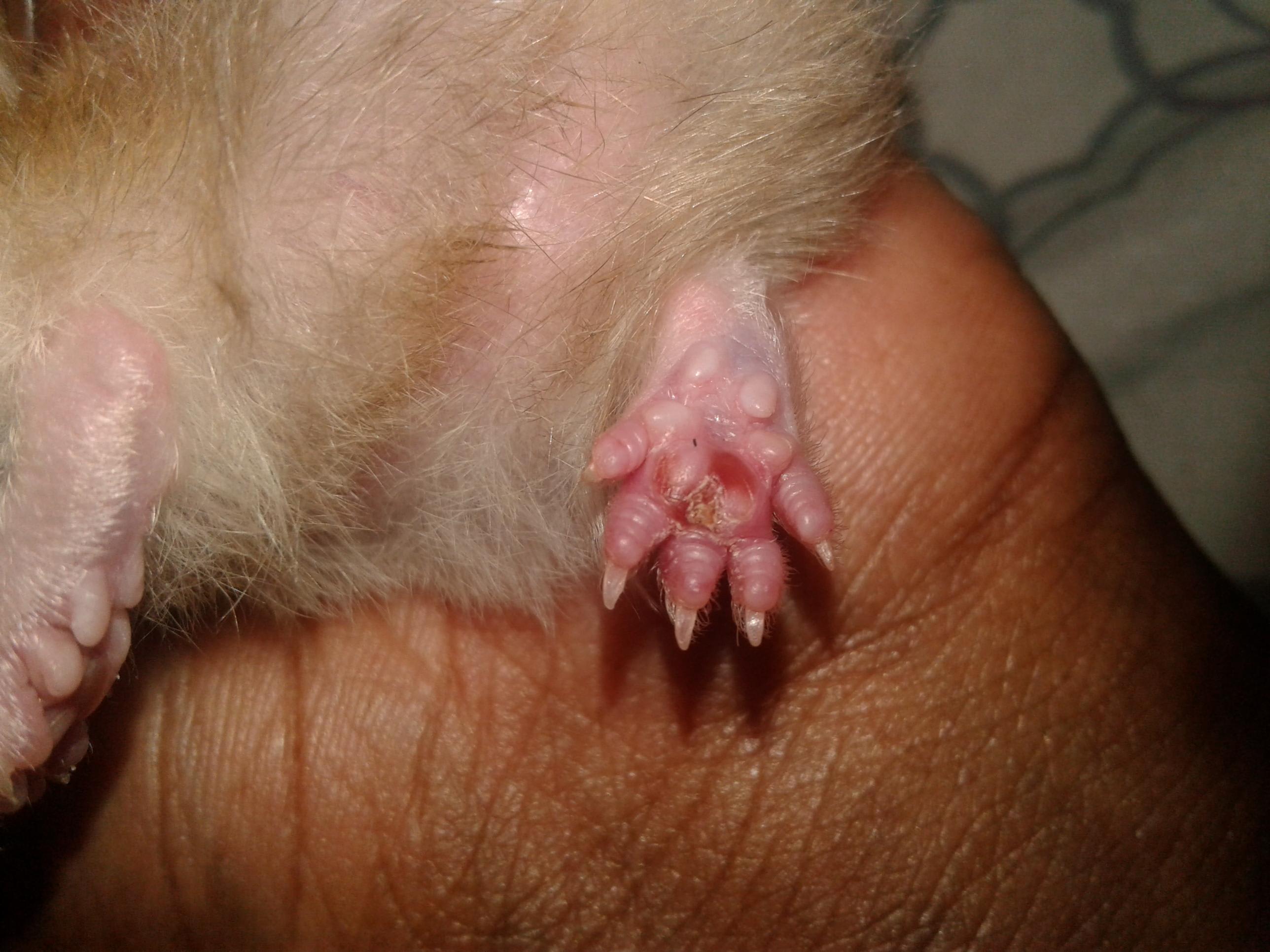 Question details sensitive content