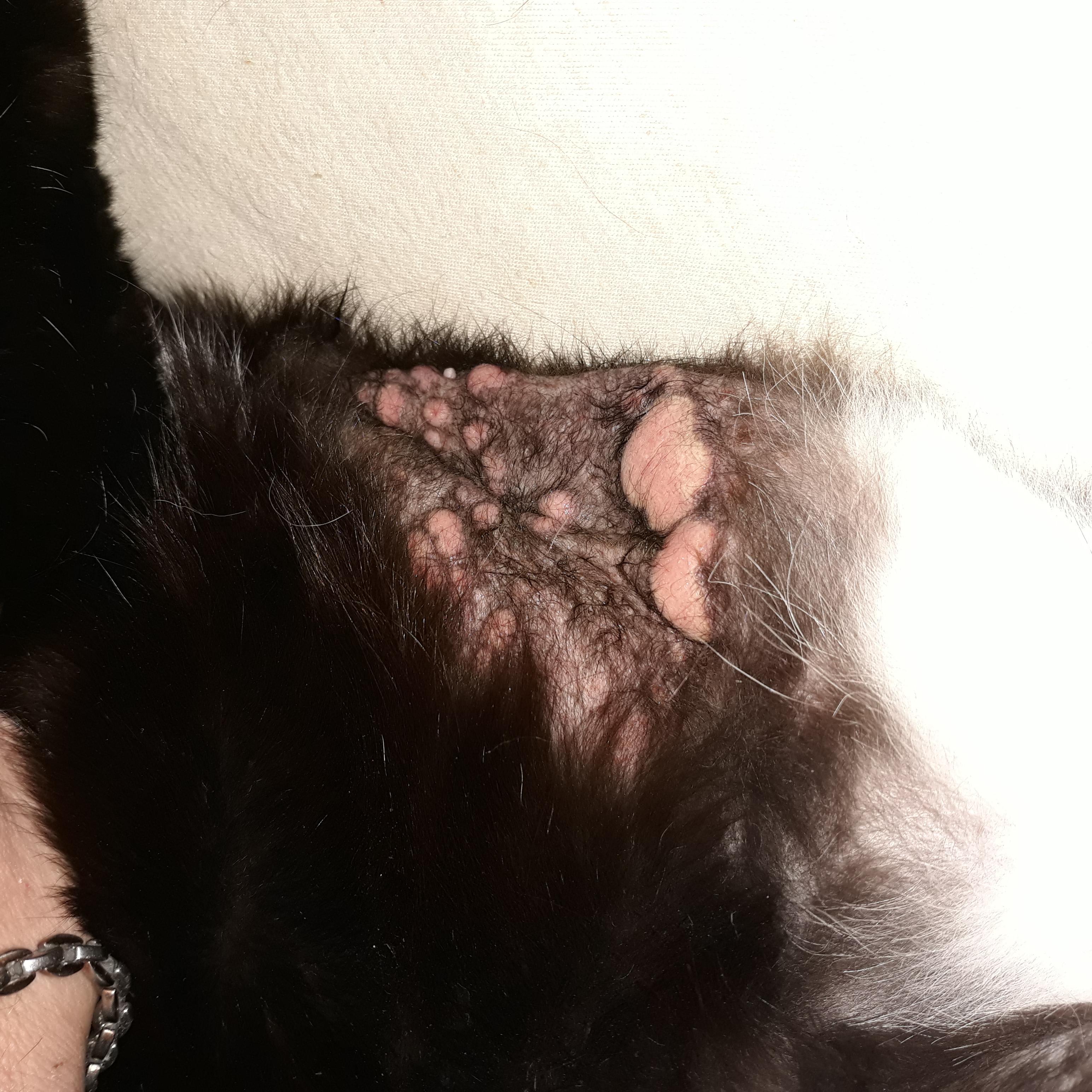 Question details sensitive content