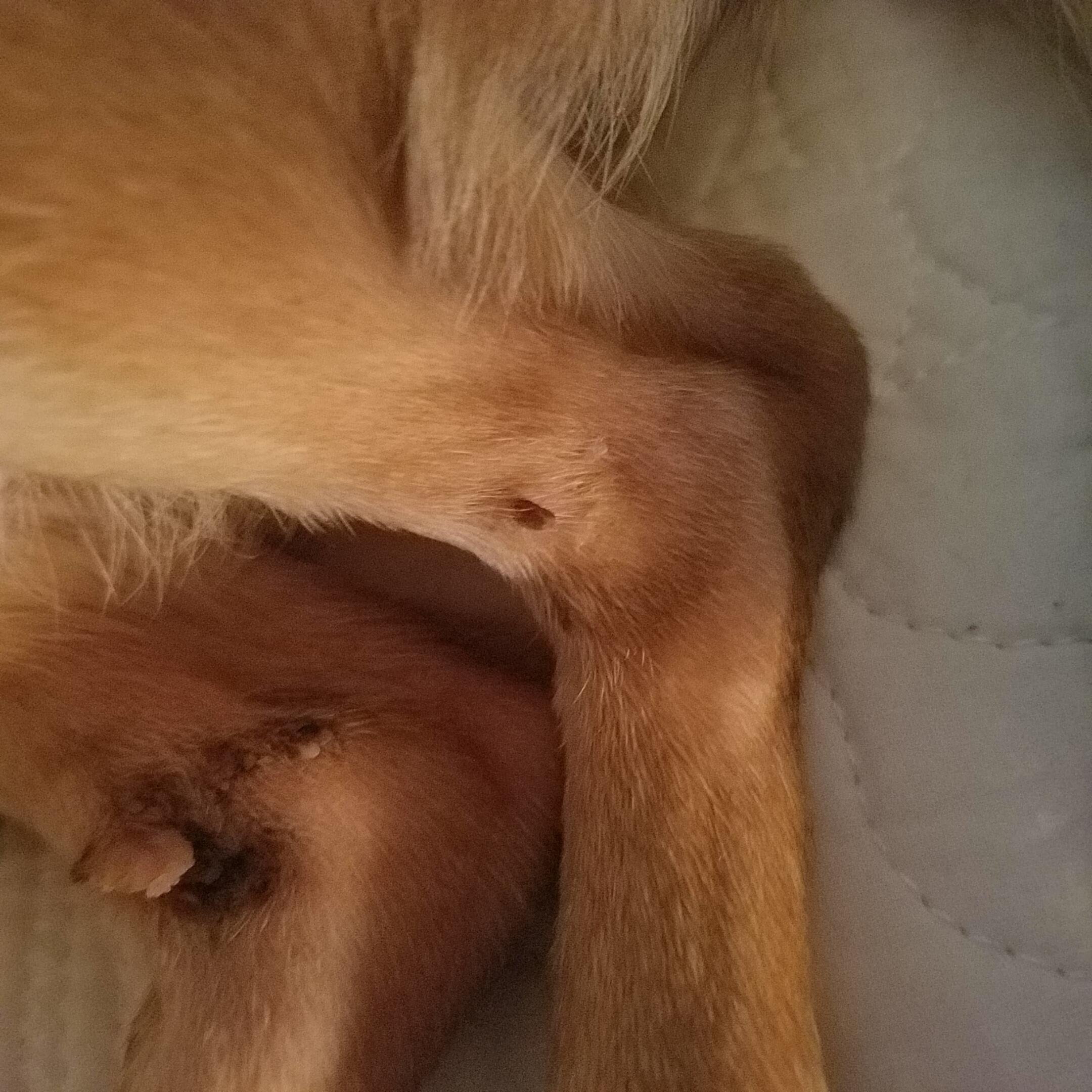 Question details sensitive content