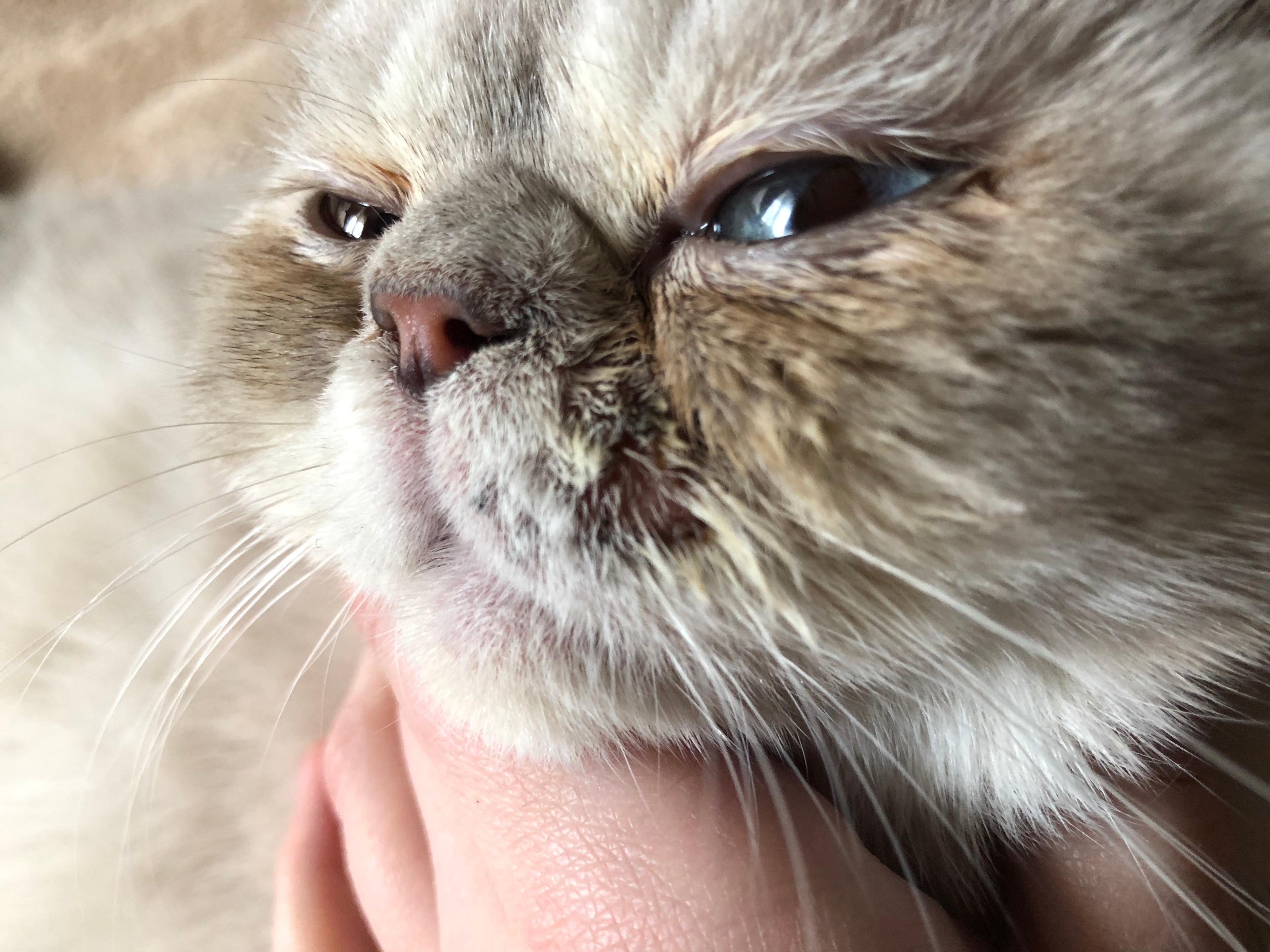 Question details sensitive content