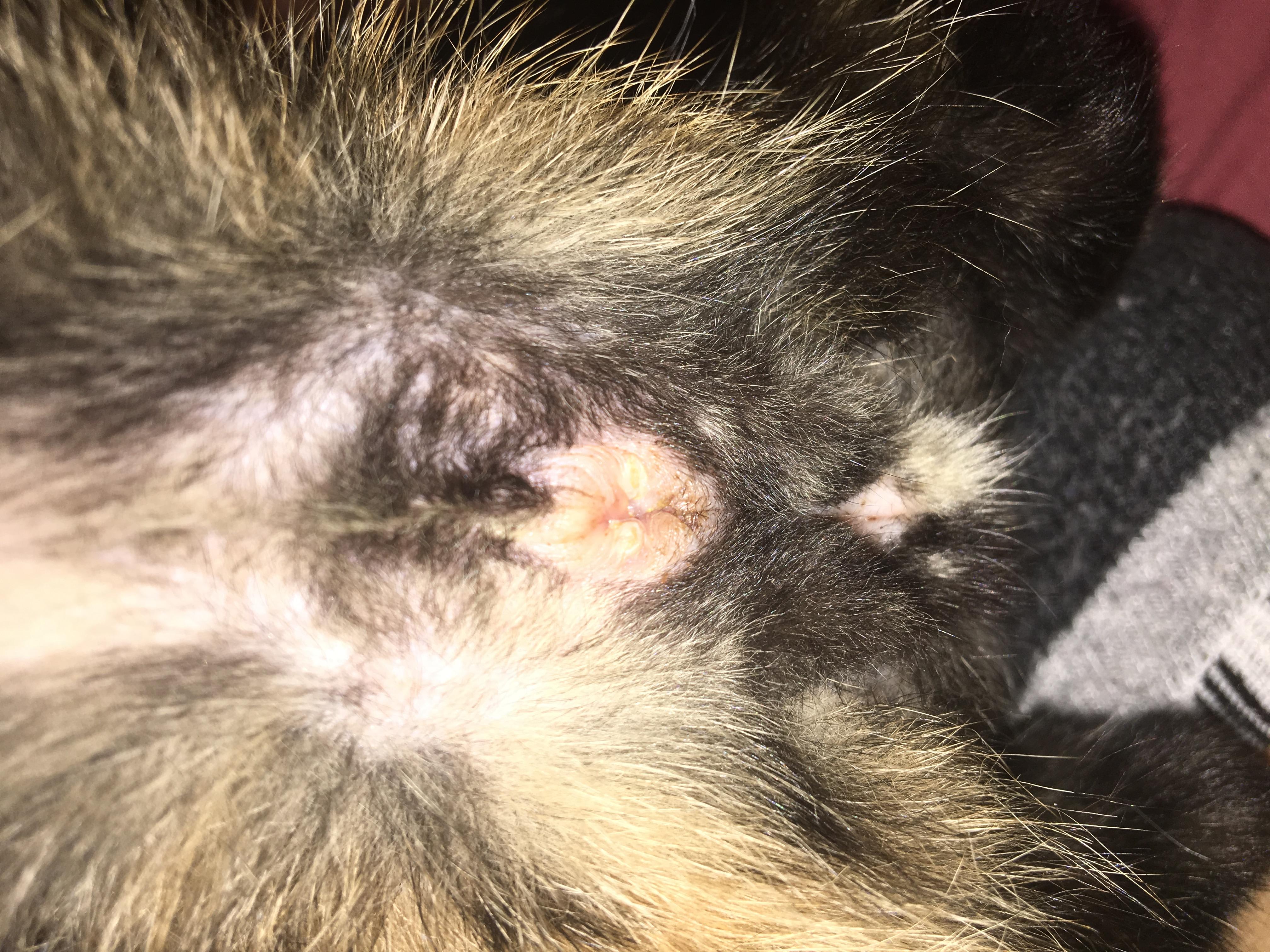 Question details sensitive content