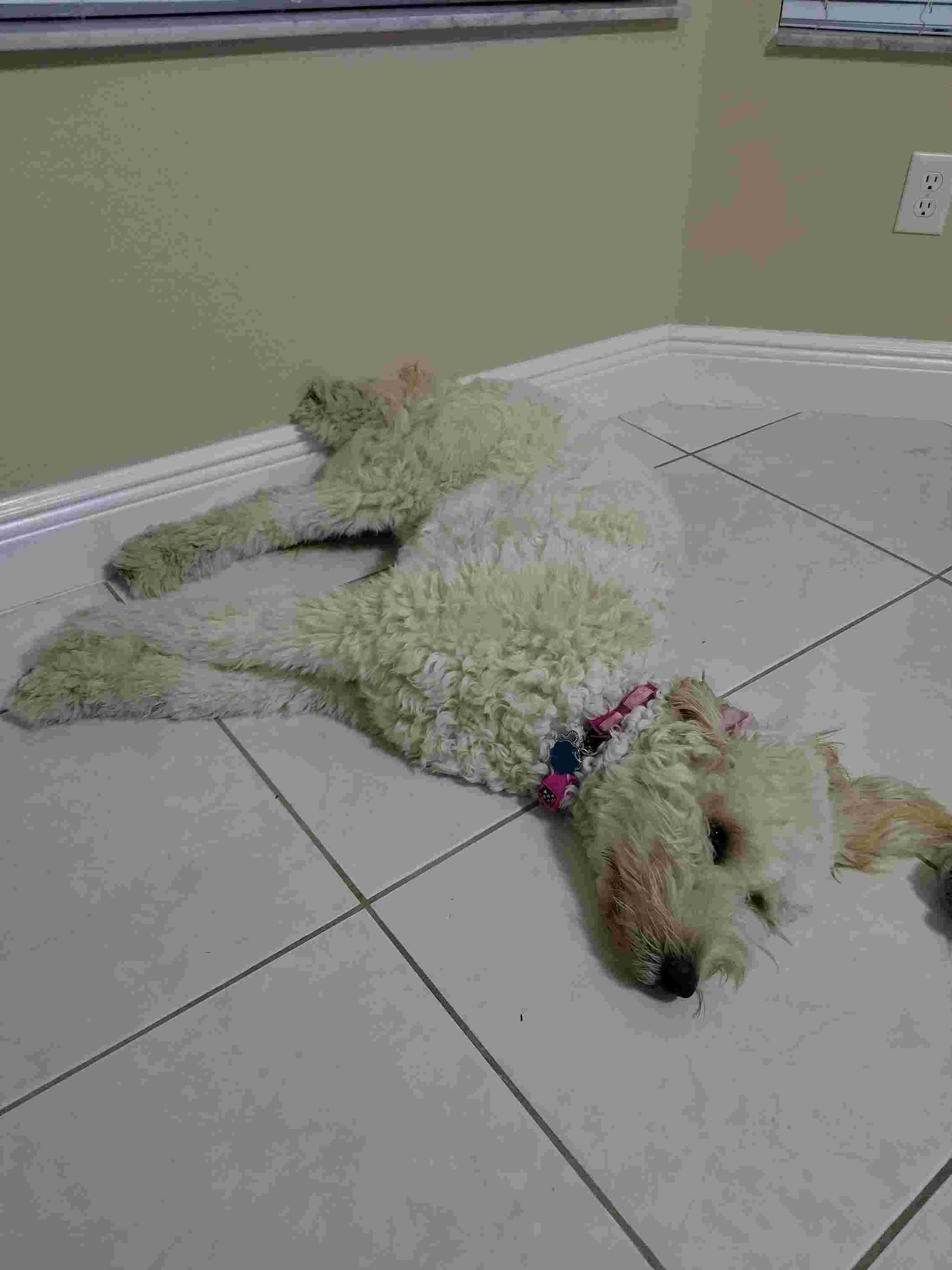 Question details sensitive content