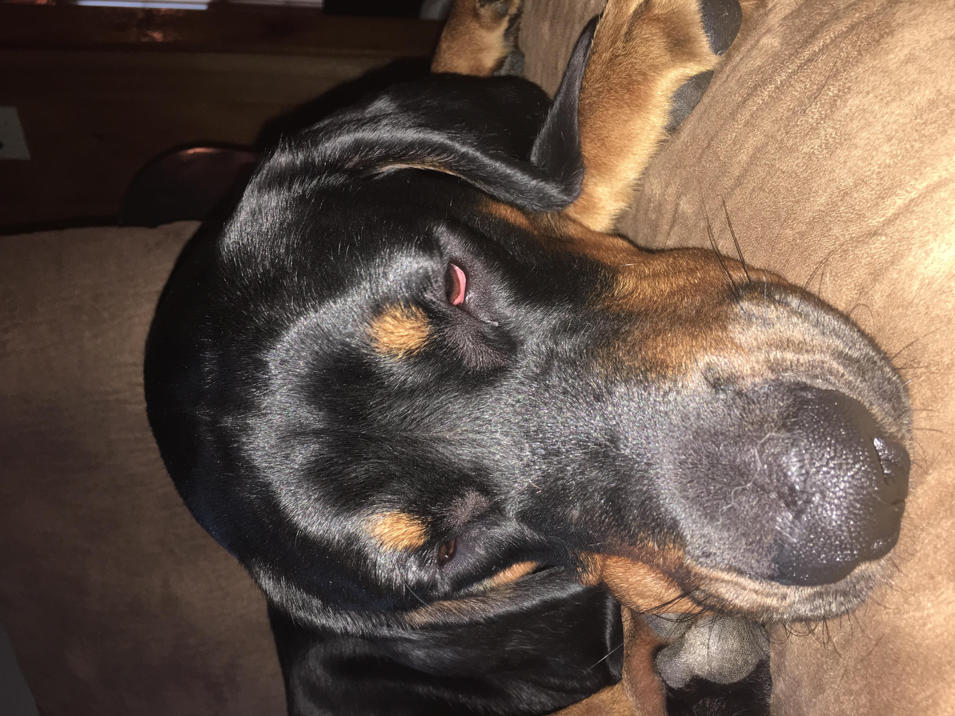 Question details sensitive content