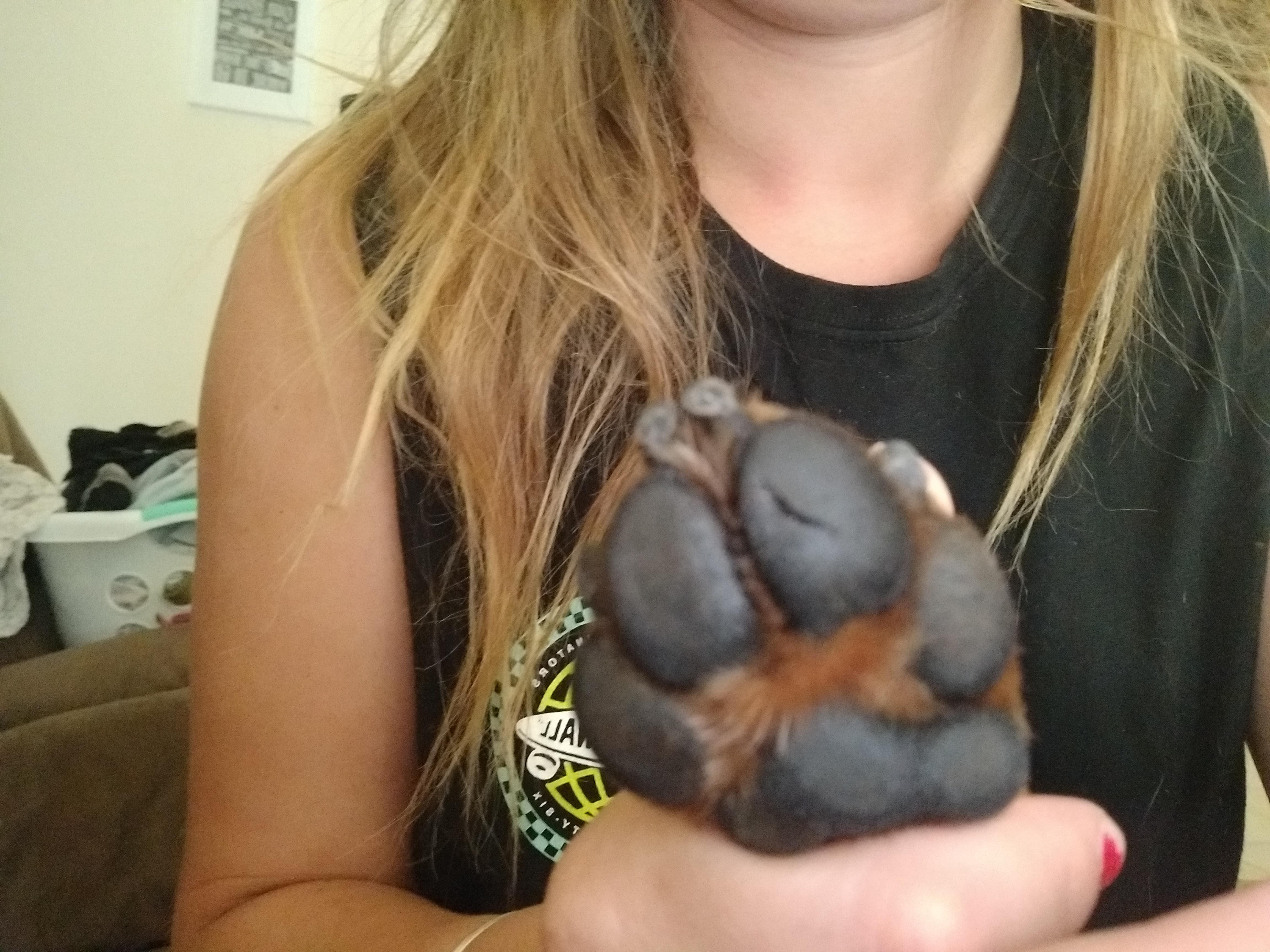 Question details sensitive content