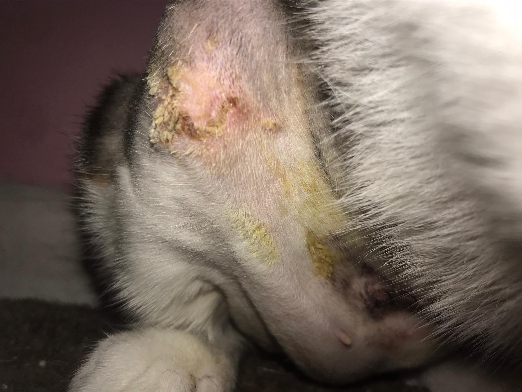 Question details sensitive content