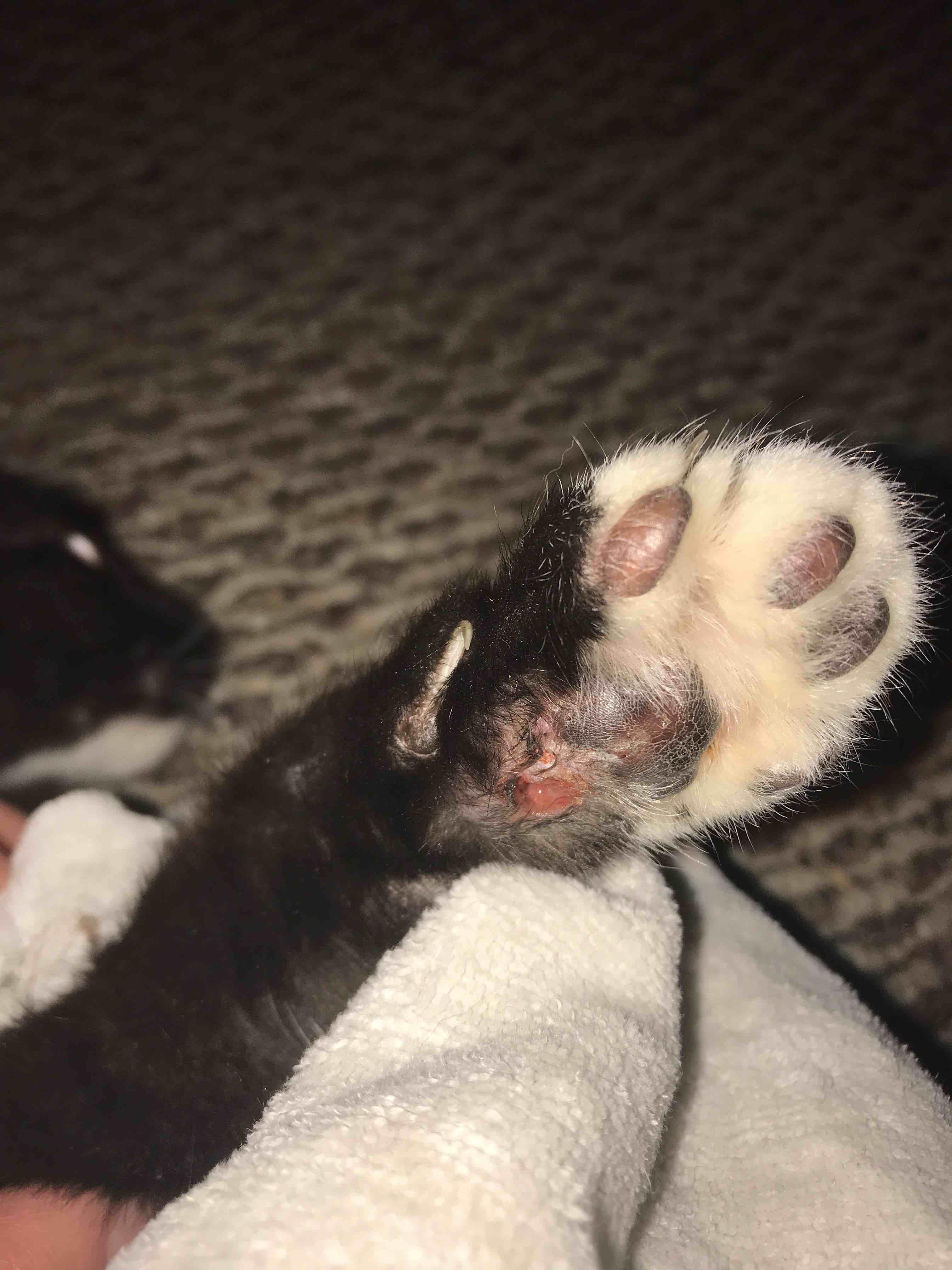 Question details sensitive content