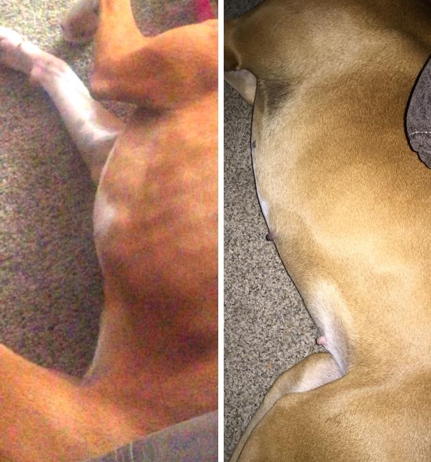 Question details sensitive content