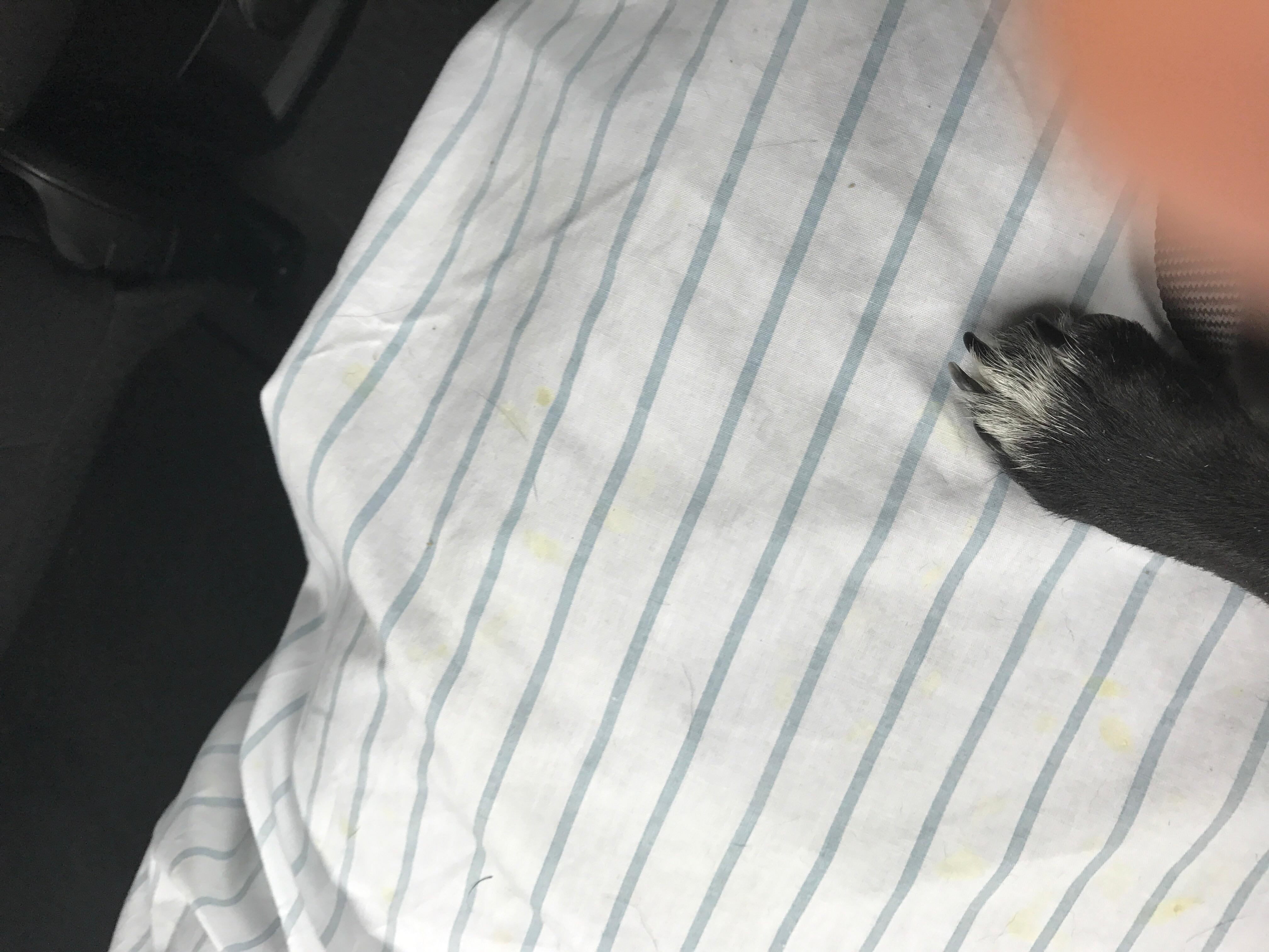 Question details sensitive content