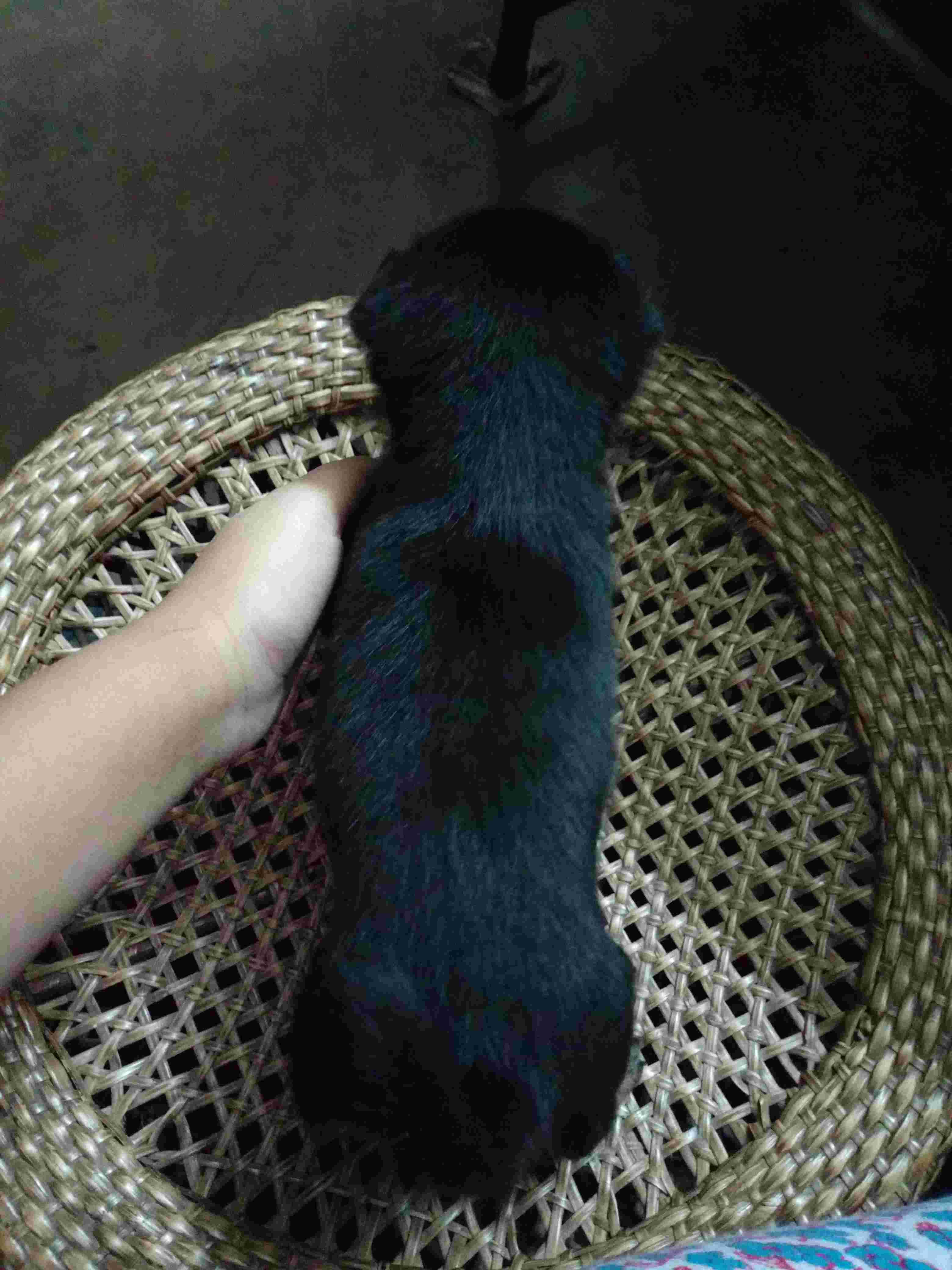 Question details sensitive content