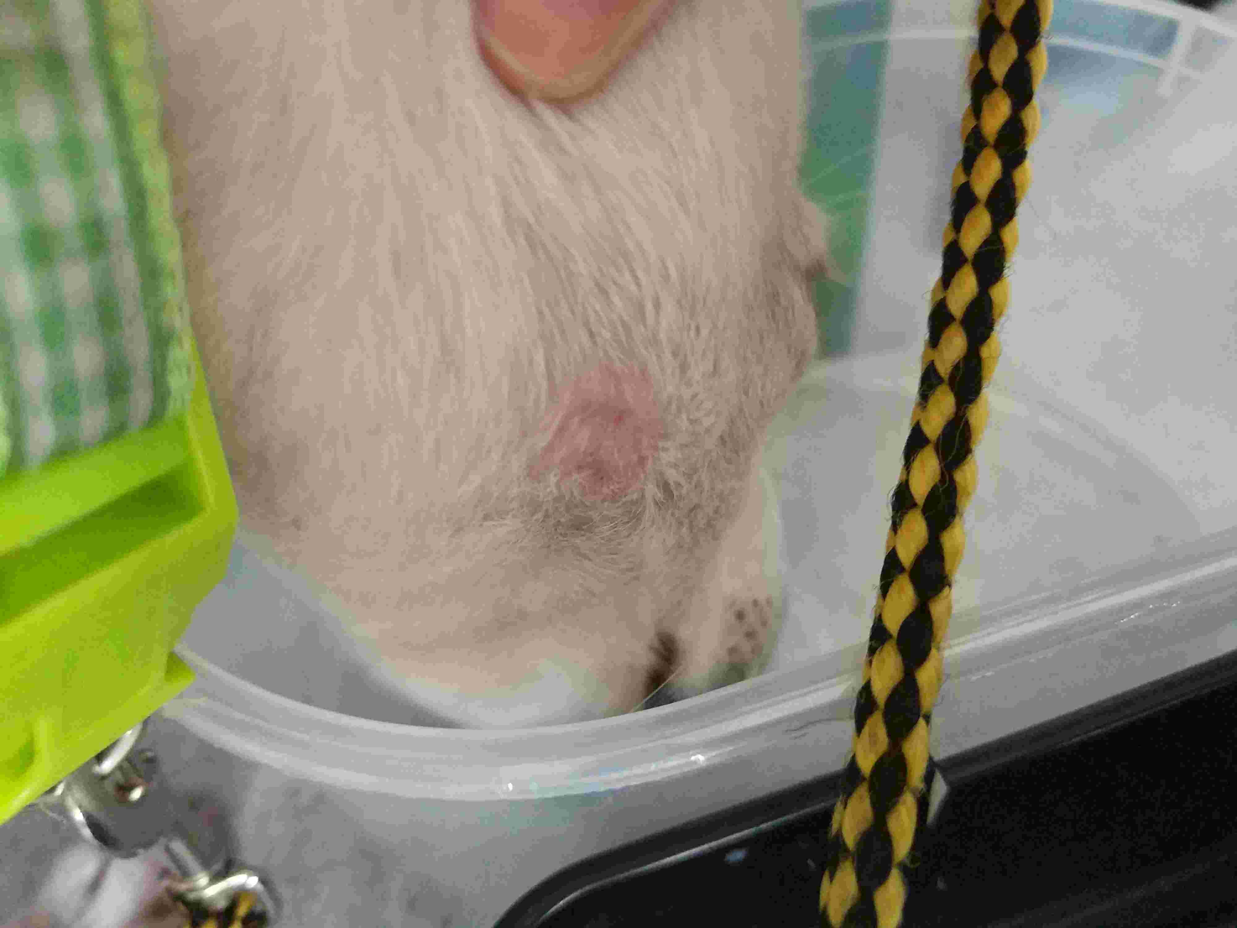 Question details sensitive content