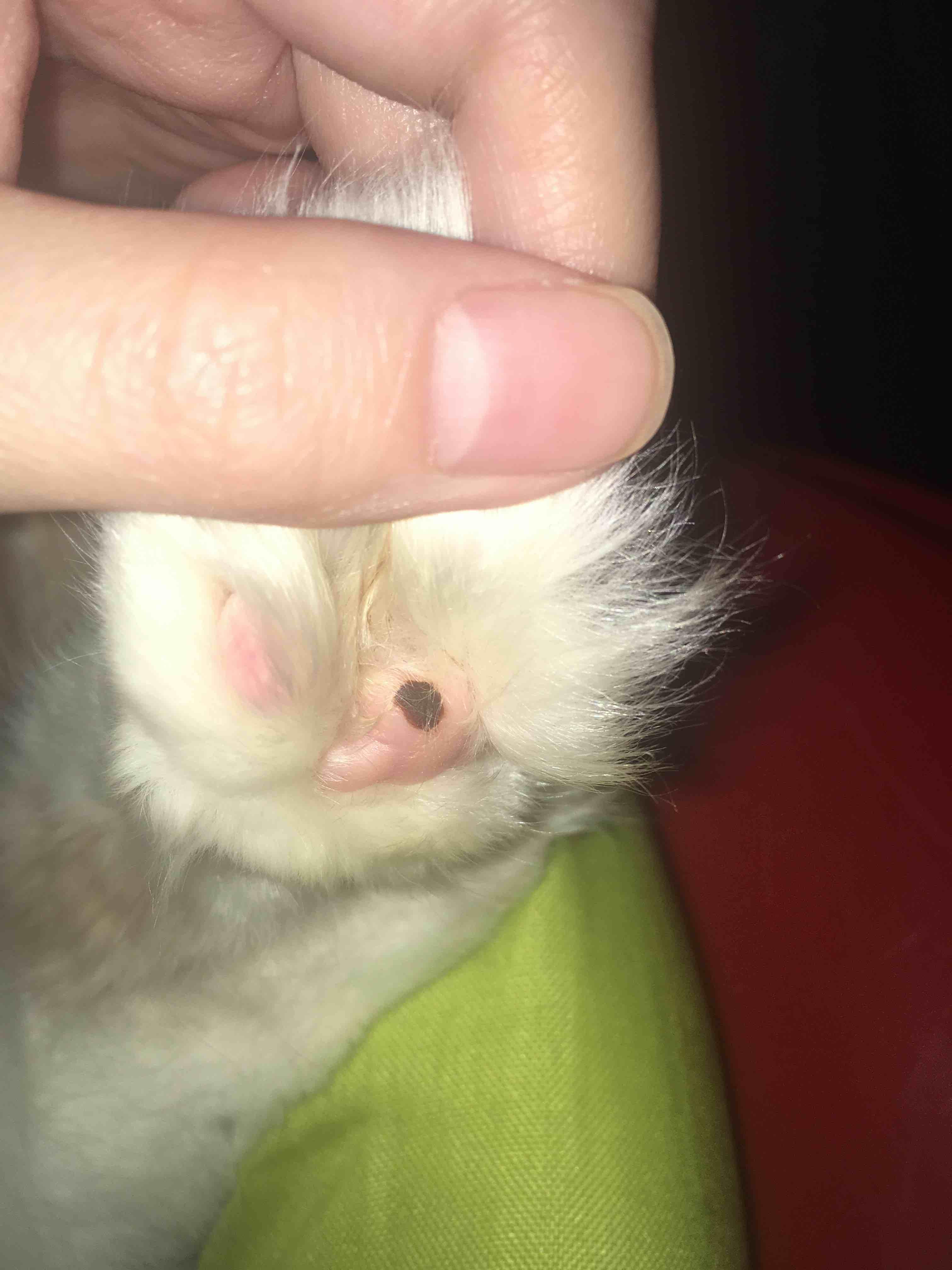 Question details sensitive content