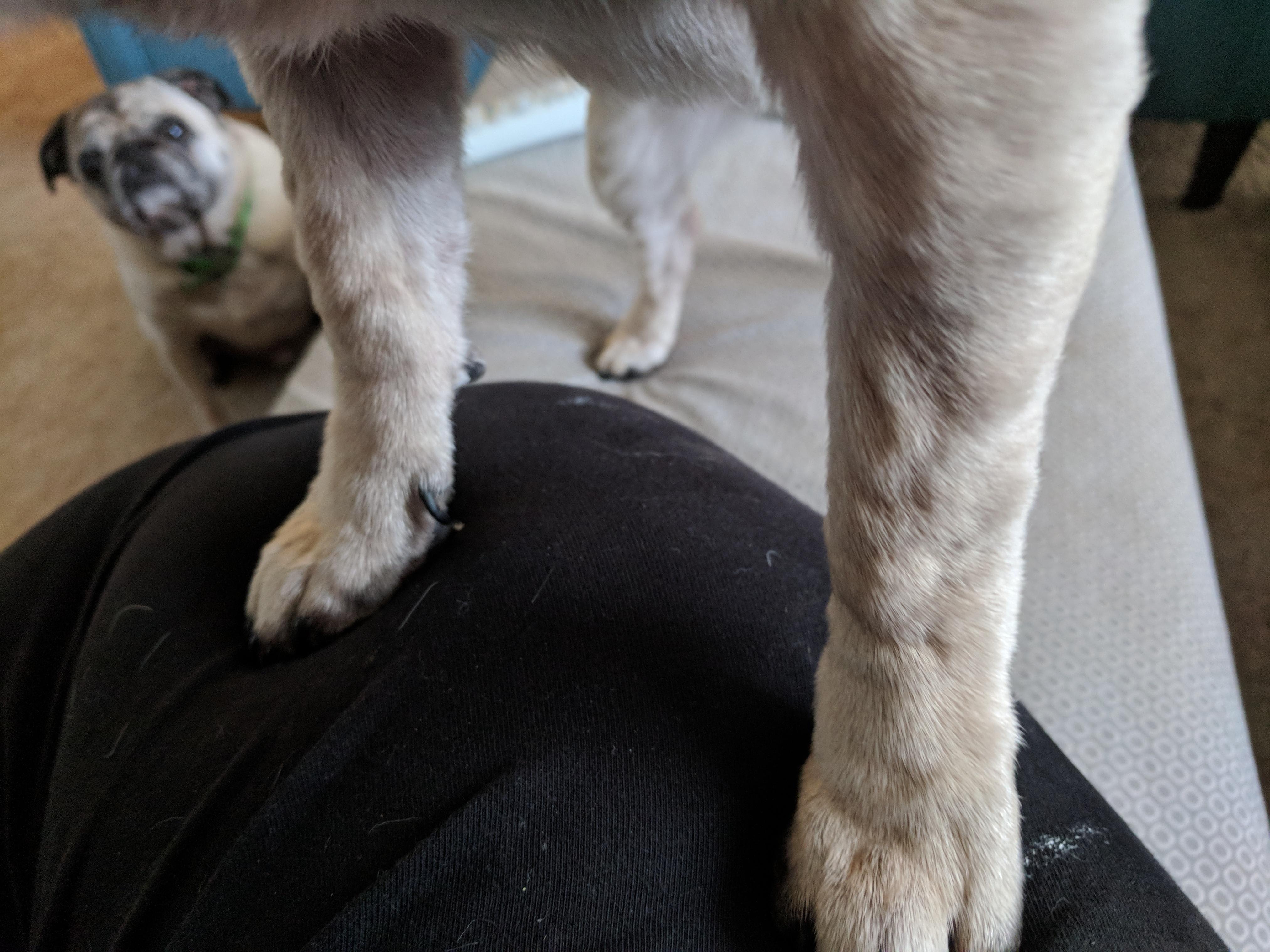 Question details sensitive content