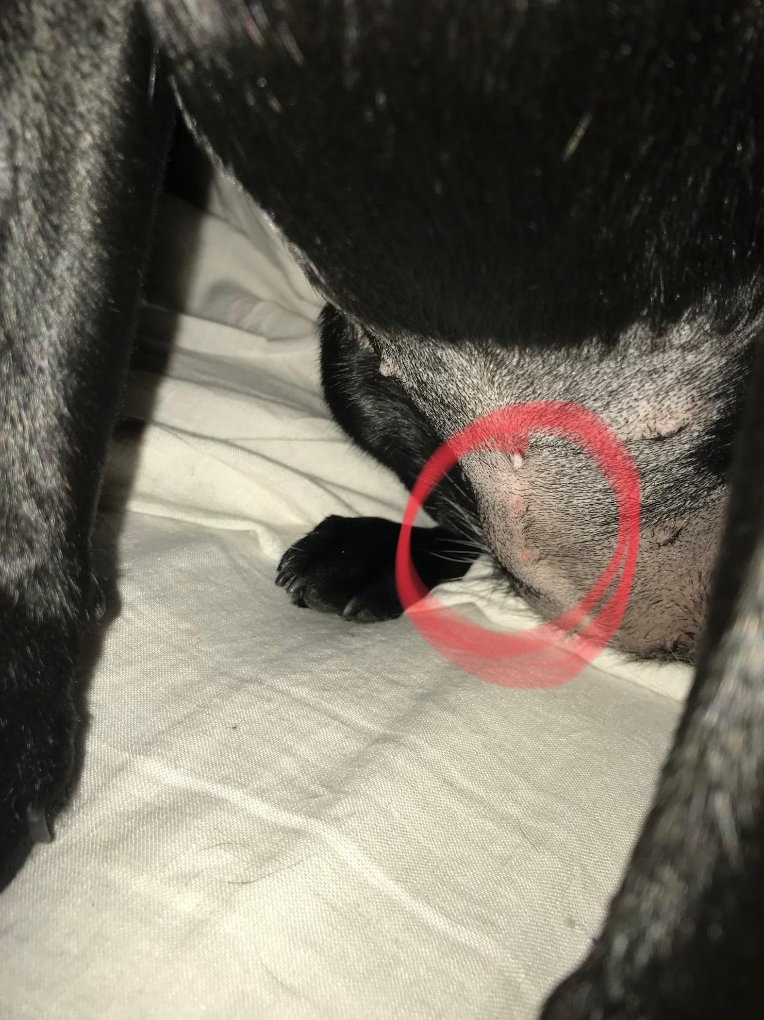 Question details sensitive content