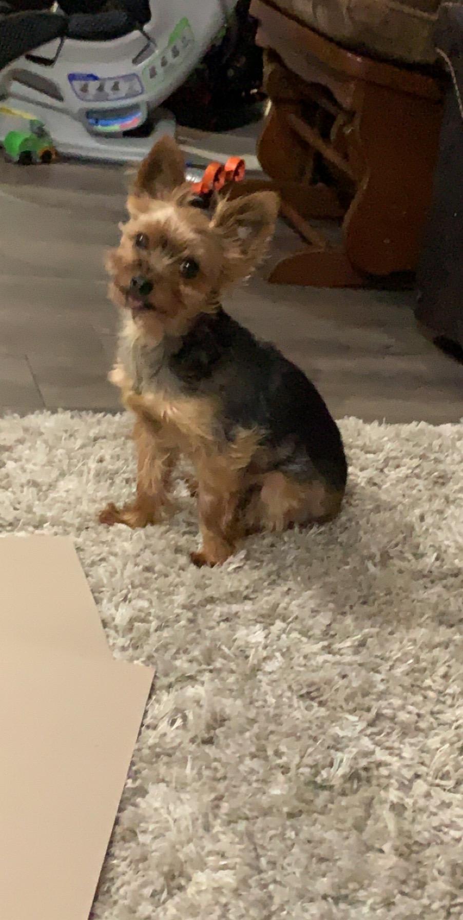 Question details sensitive content