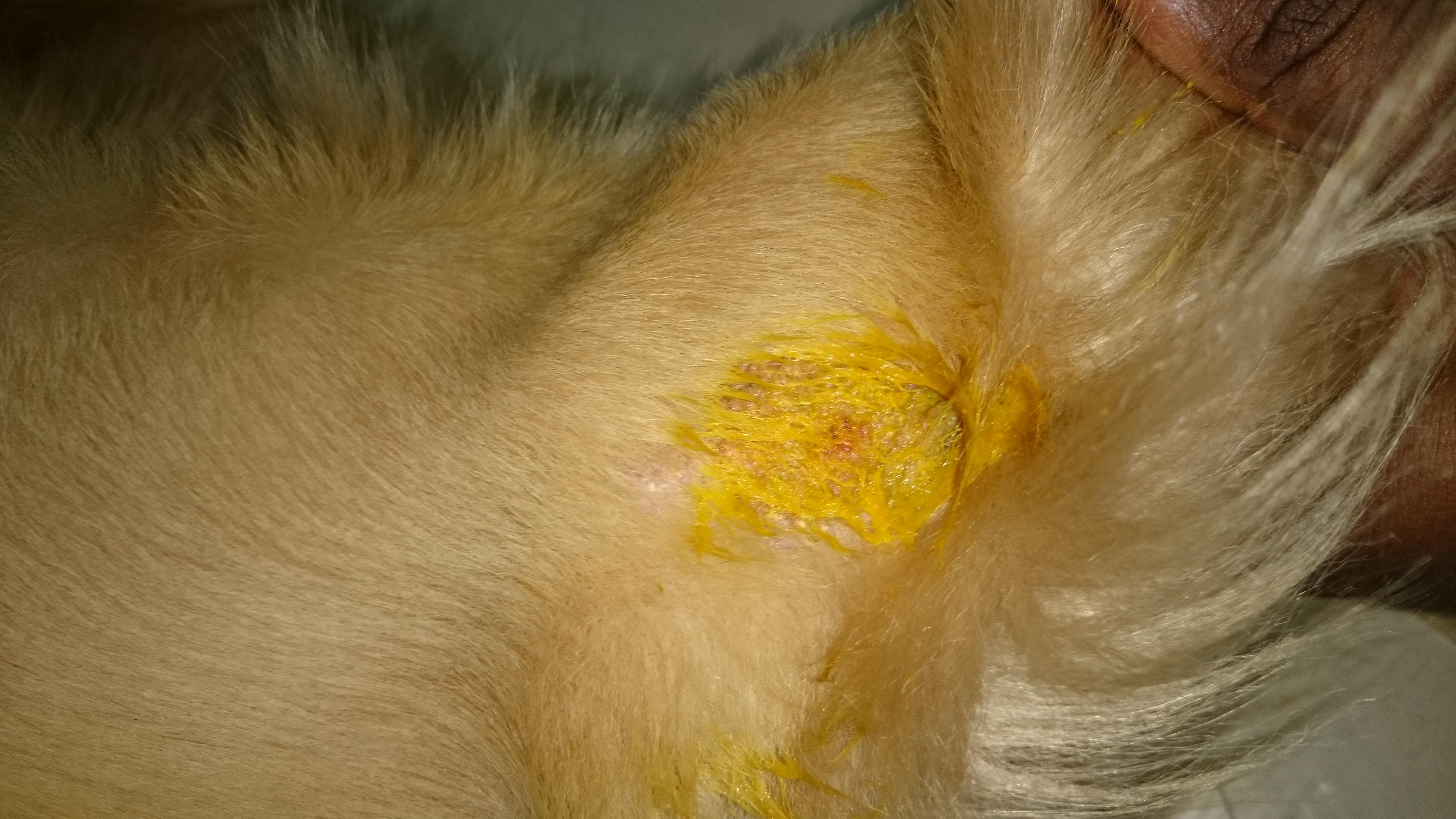 Question details sensitive content