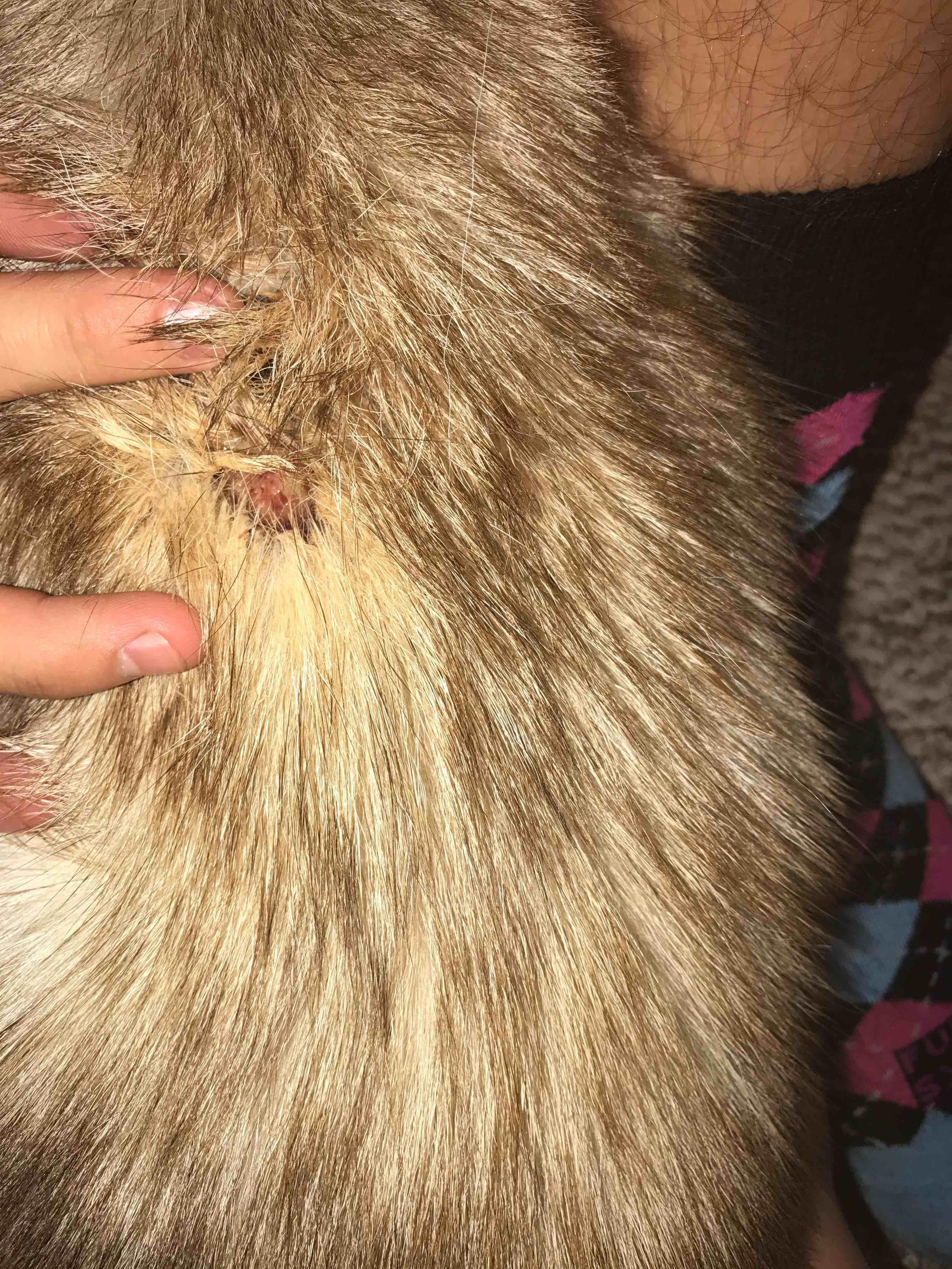 Question details sensitive content