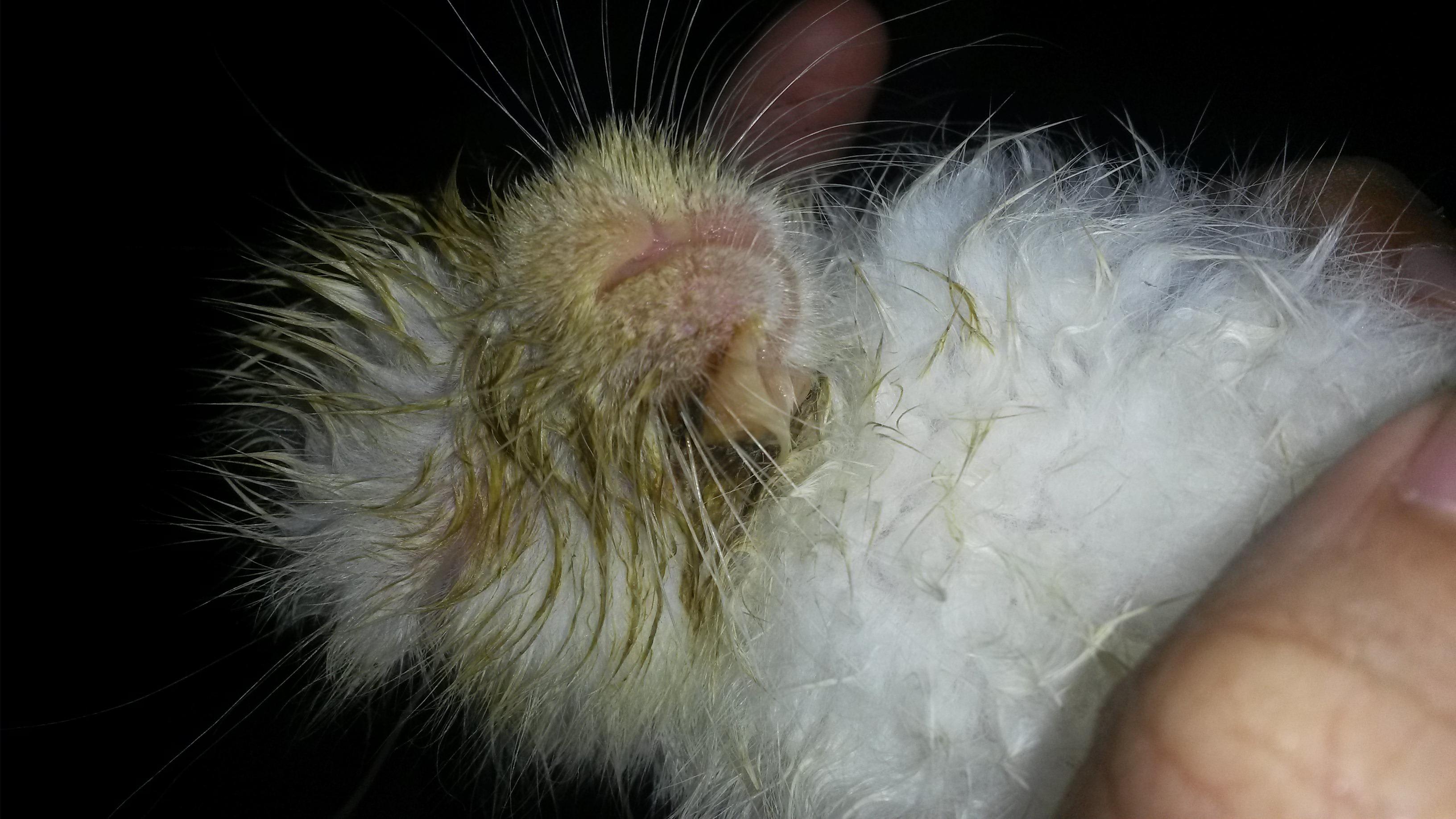 Question details sensitive content