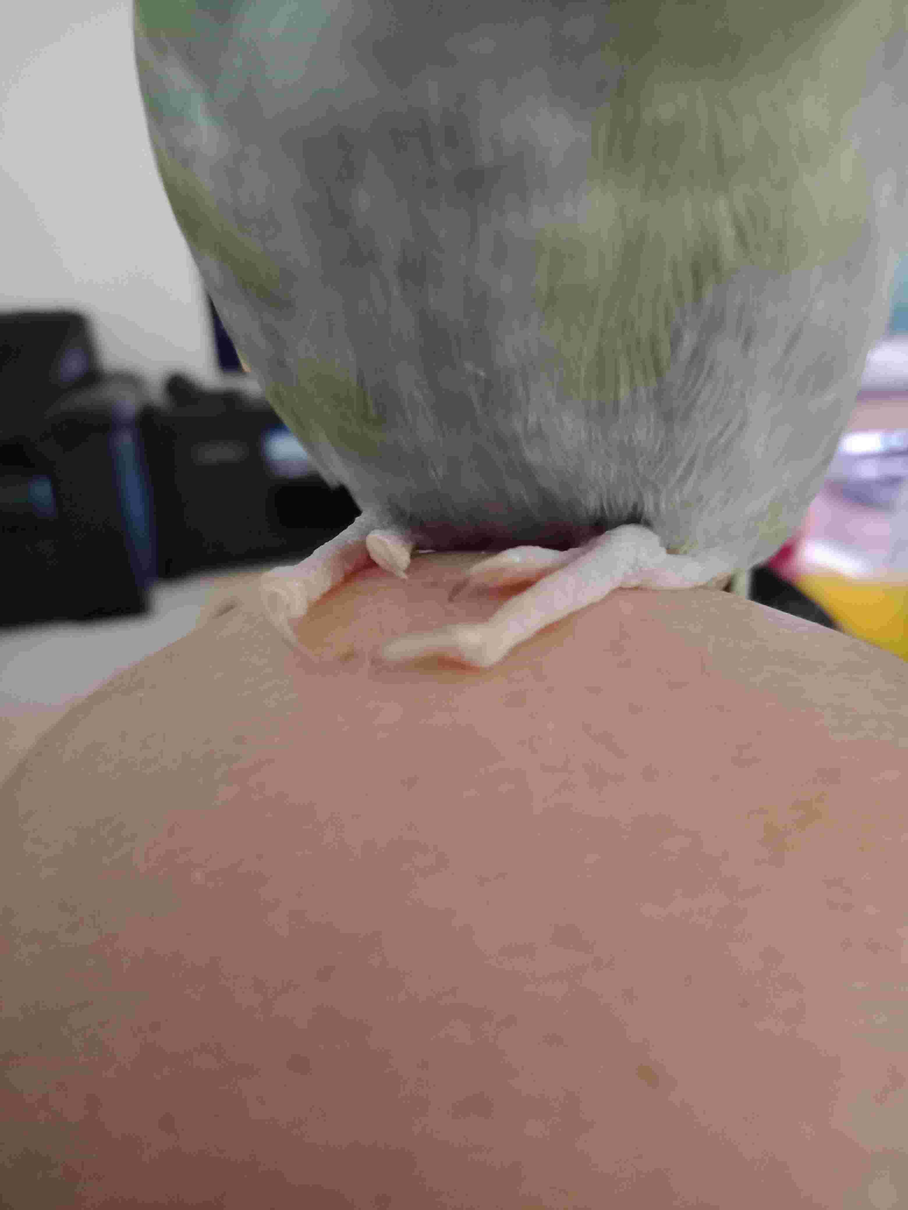 Question details sensitive content