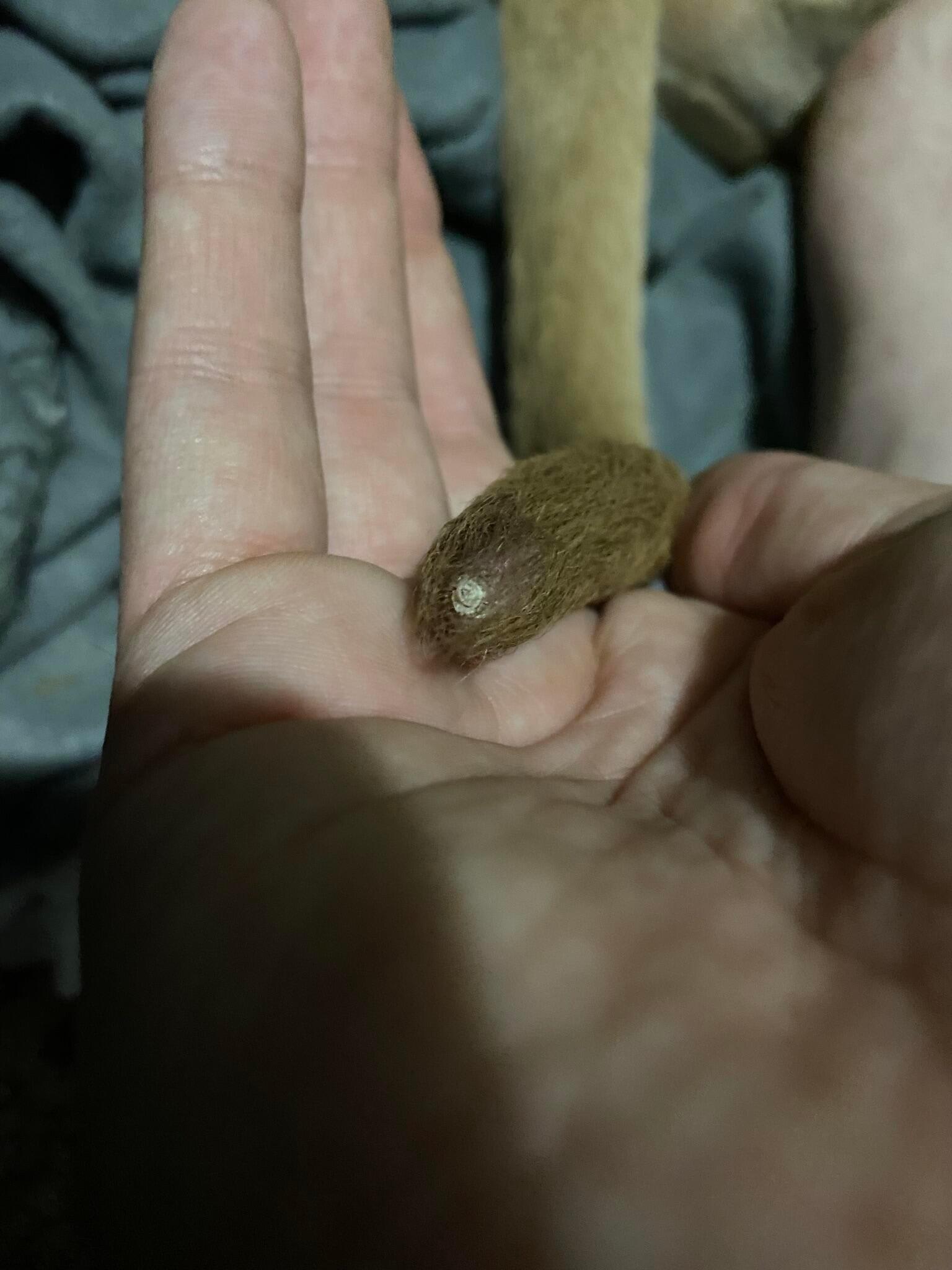 Question details sensitive content