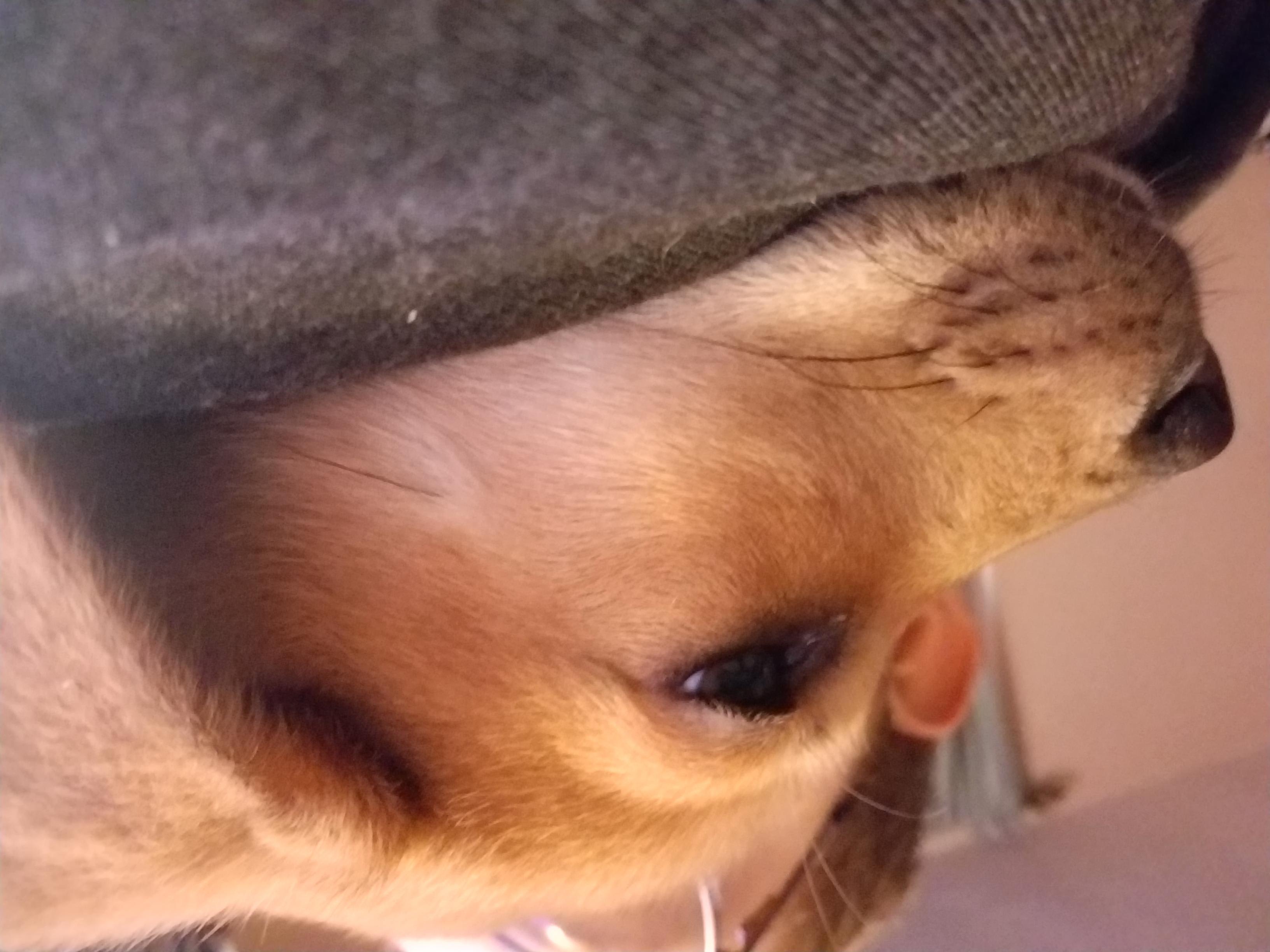 Question details sensitive content