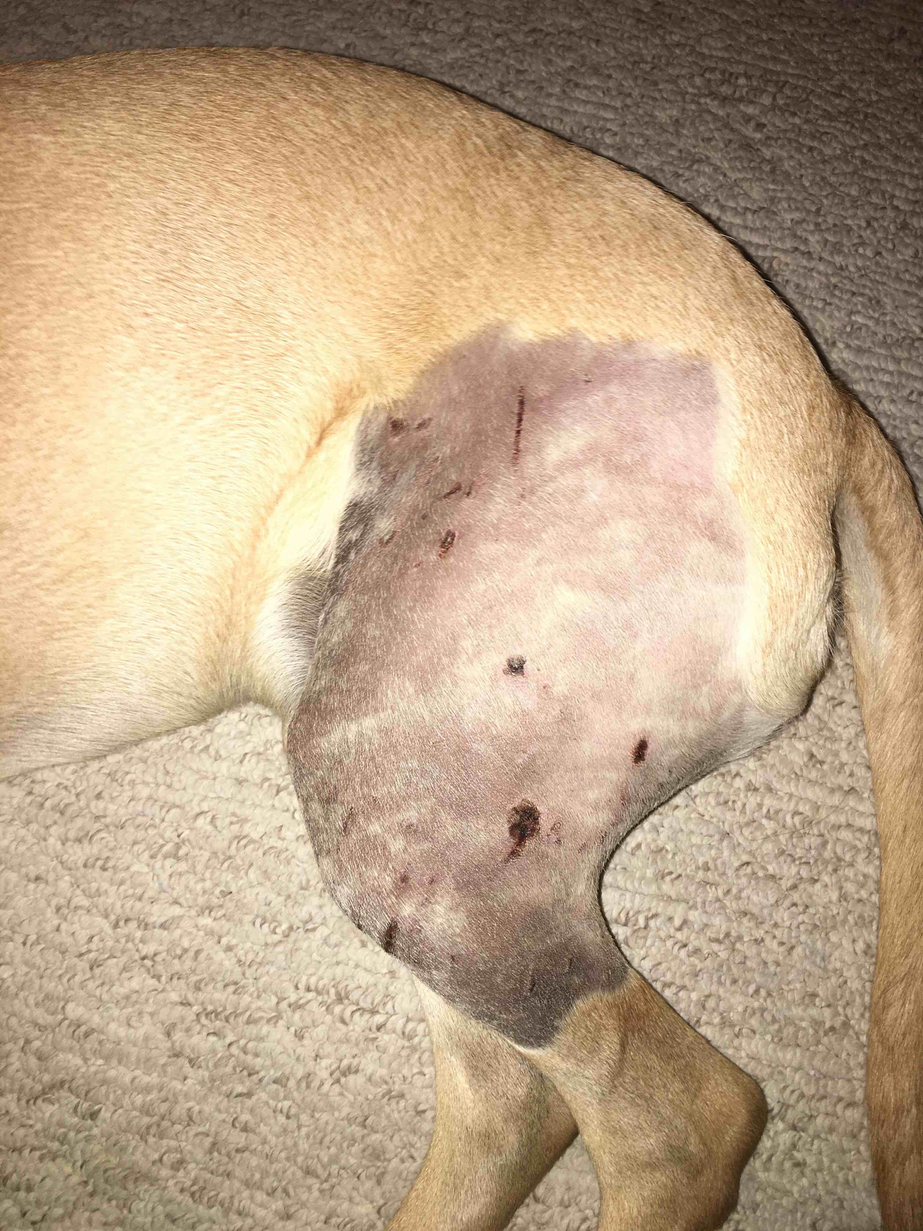 Question details sensitive content