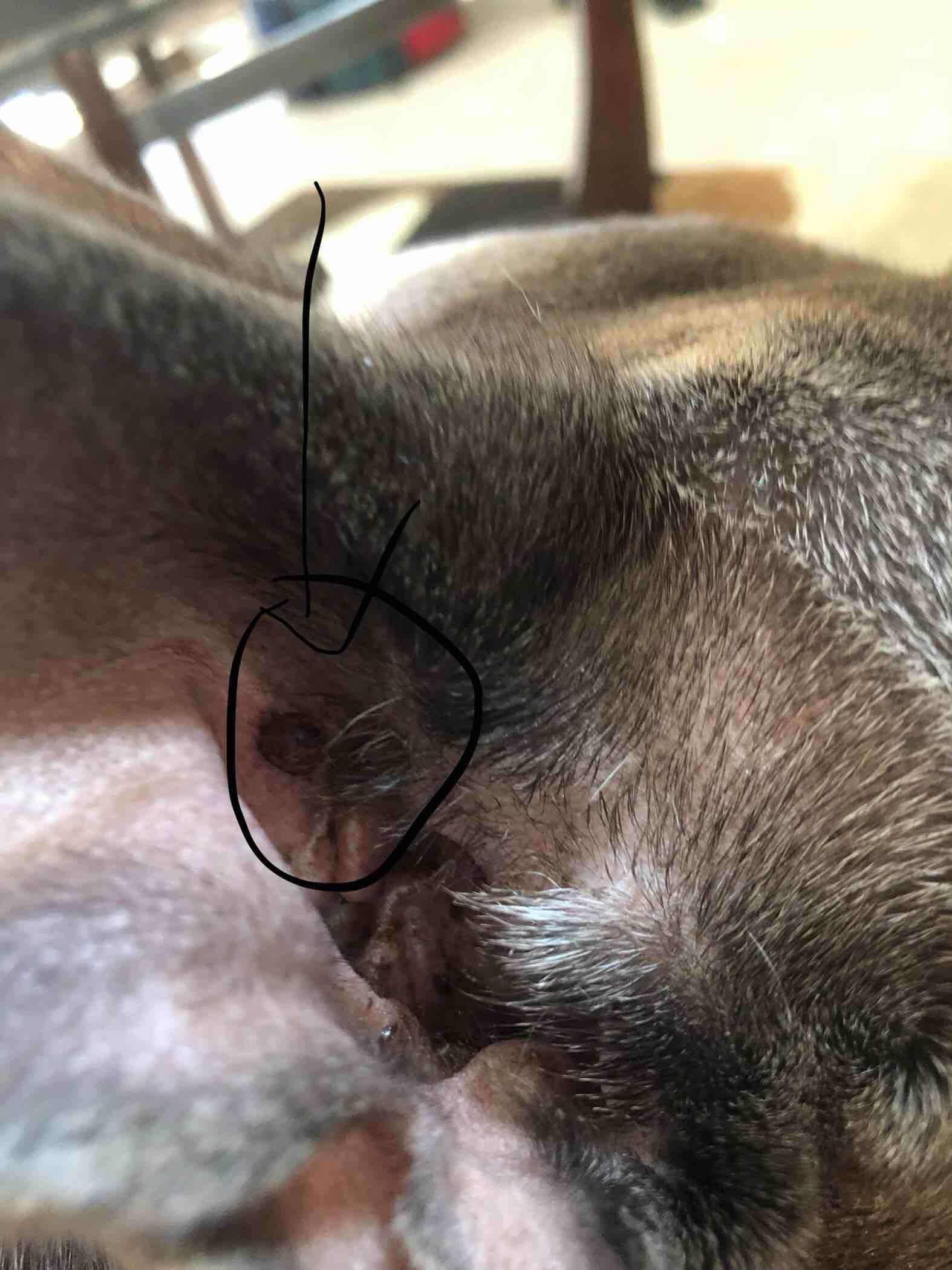 Question details sensitive content