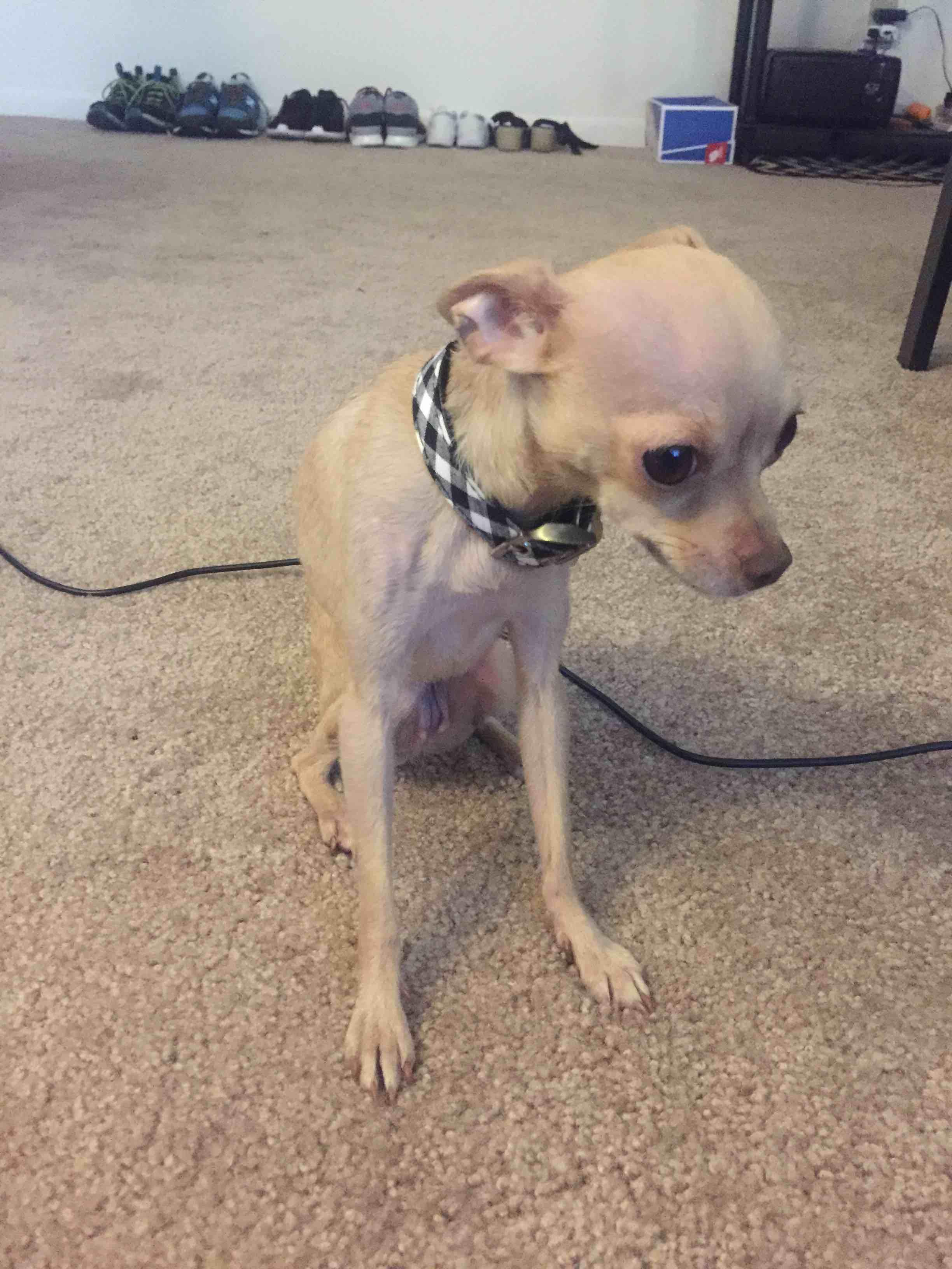 Question details sensitive content