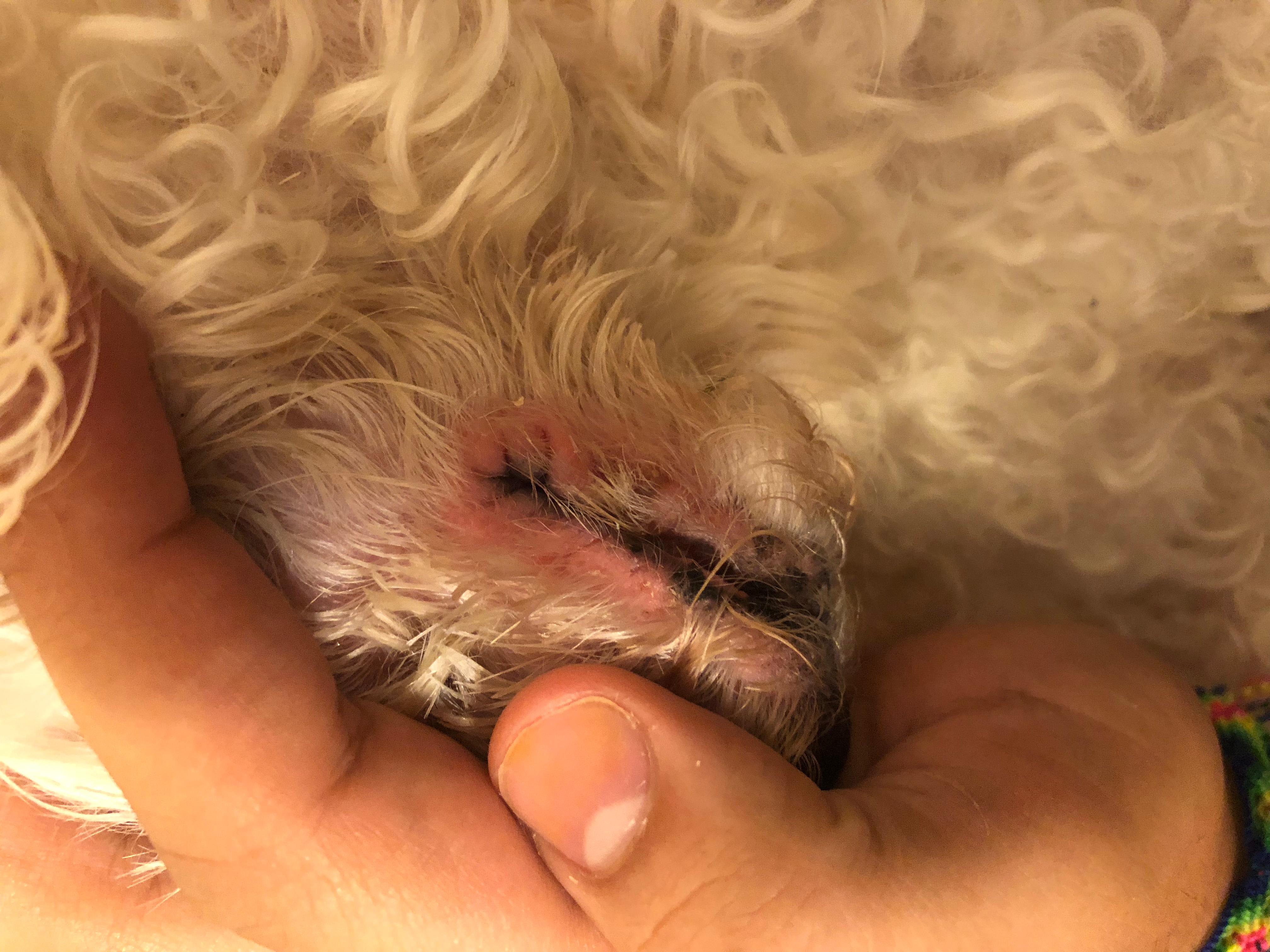 Question details sensitive content