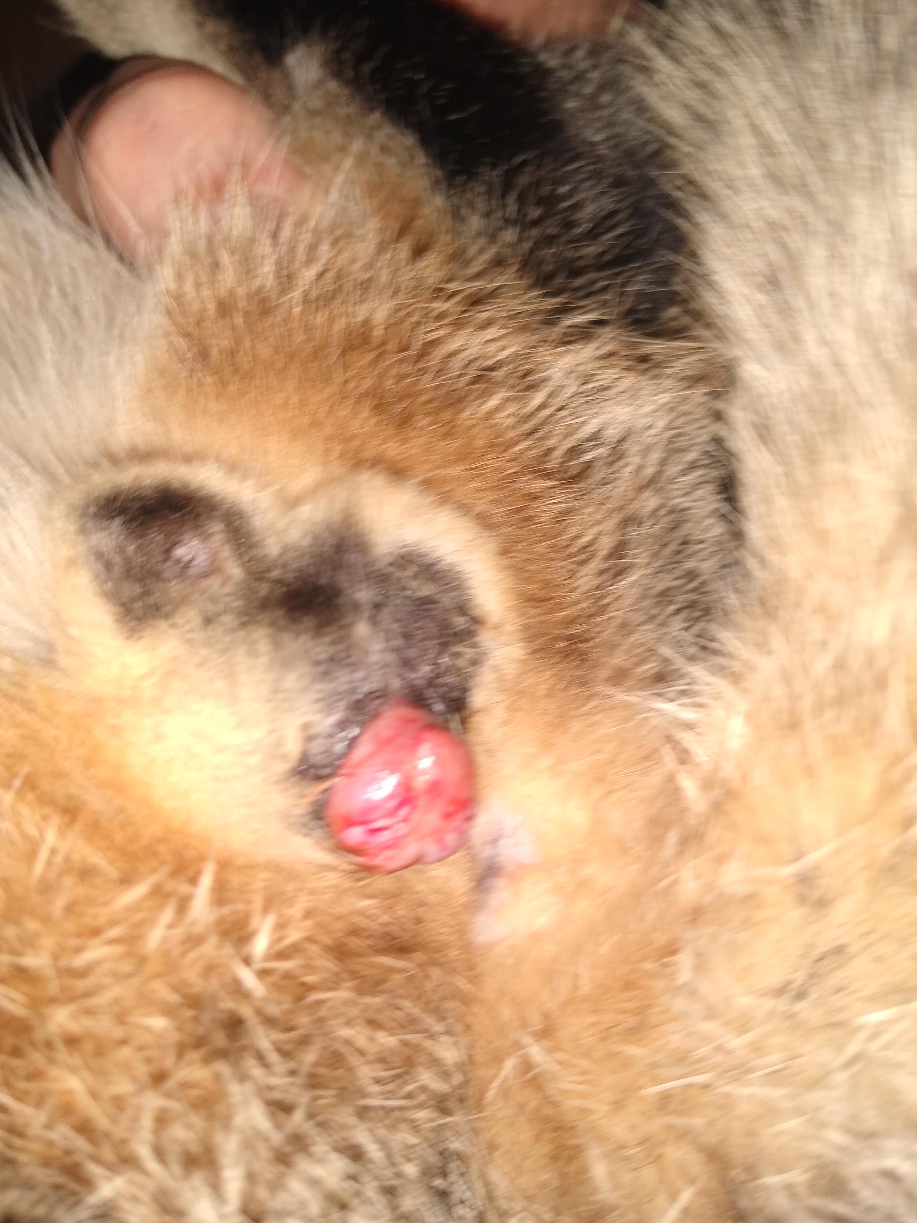 Question details sensitive content