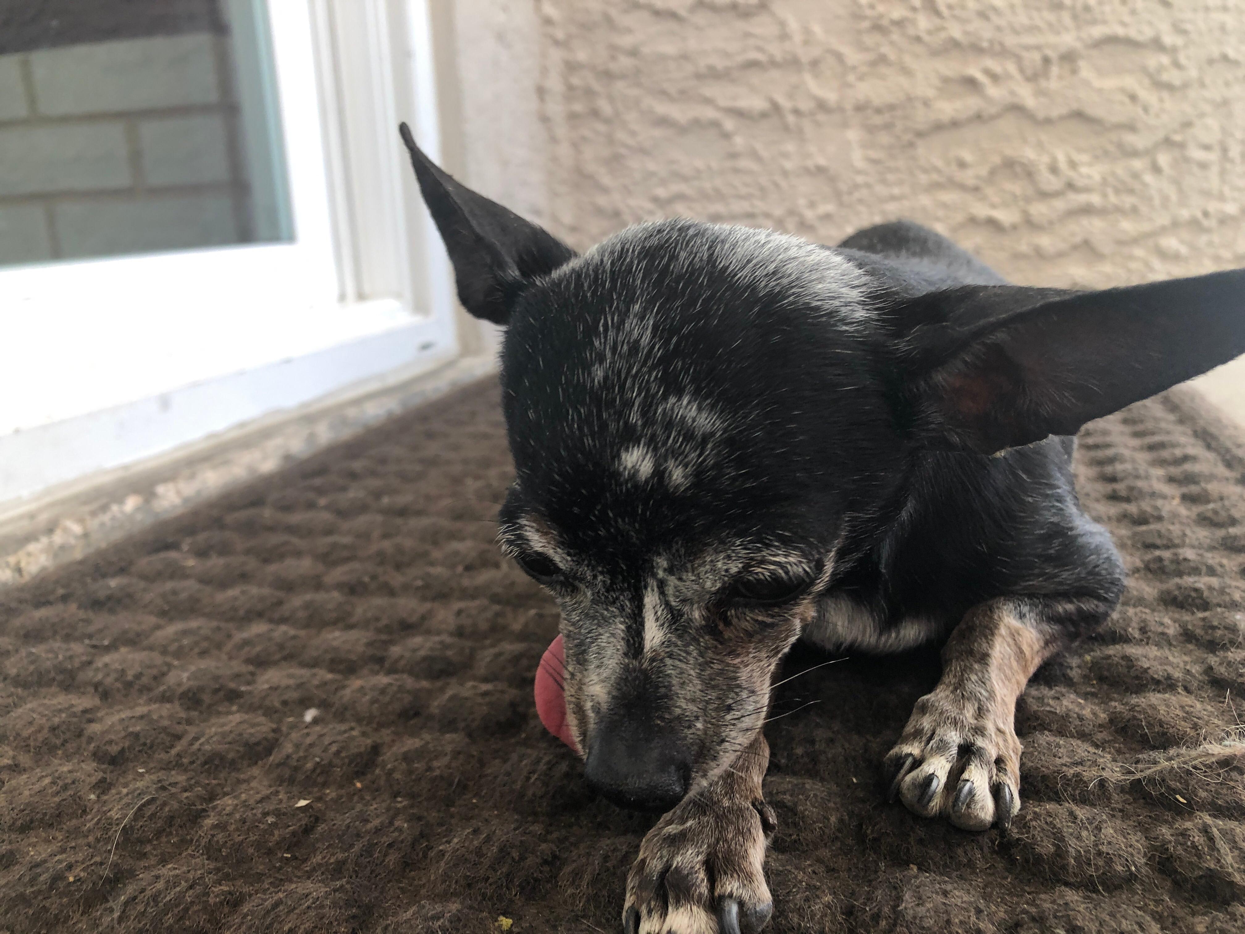 Question details sensitive content