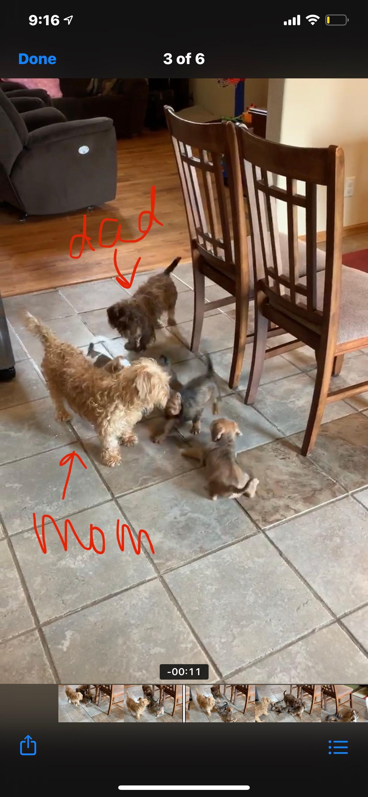 Question details sensitive content