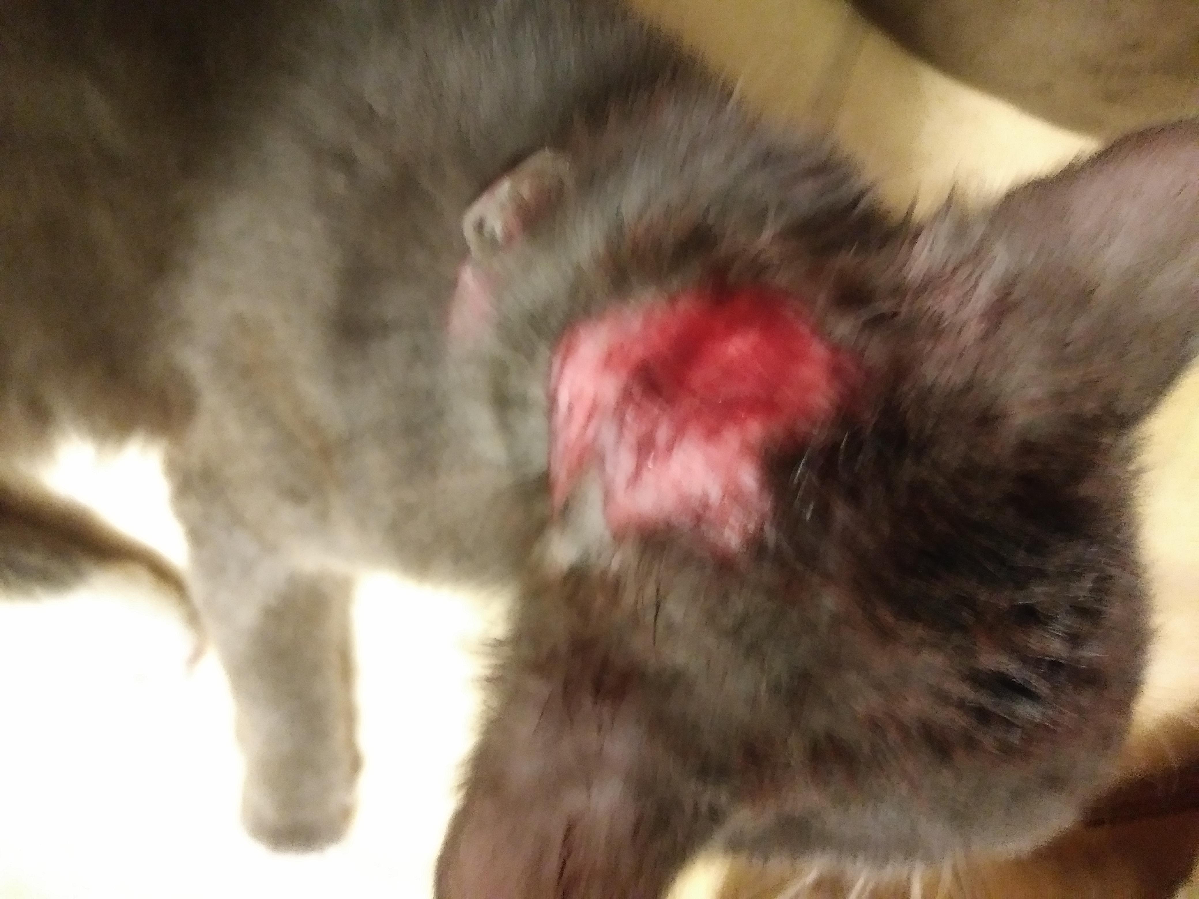 Question details sensitive content