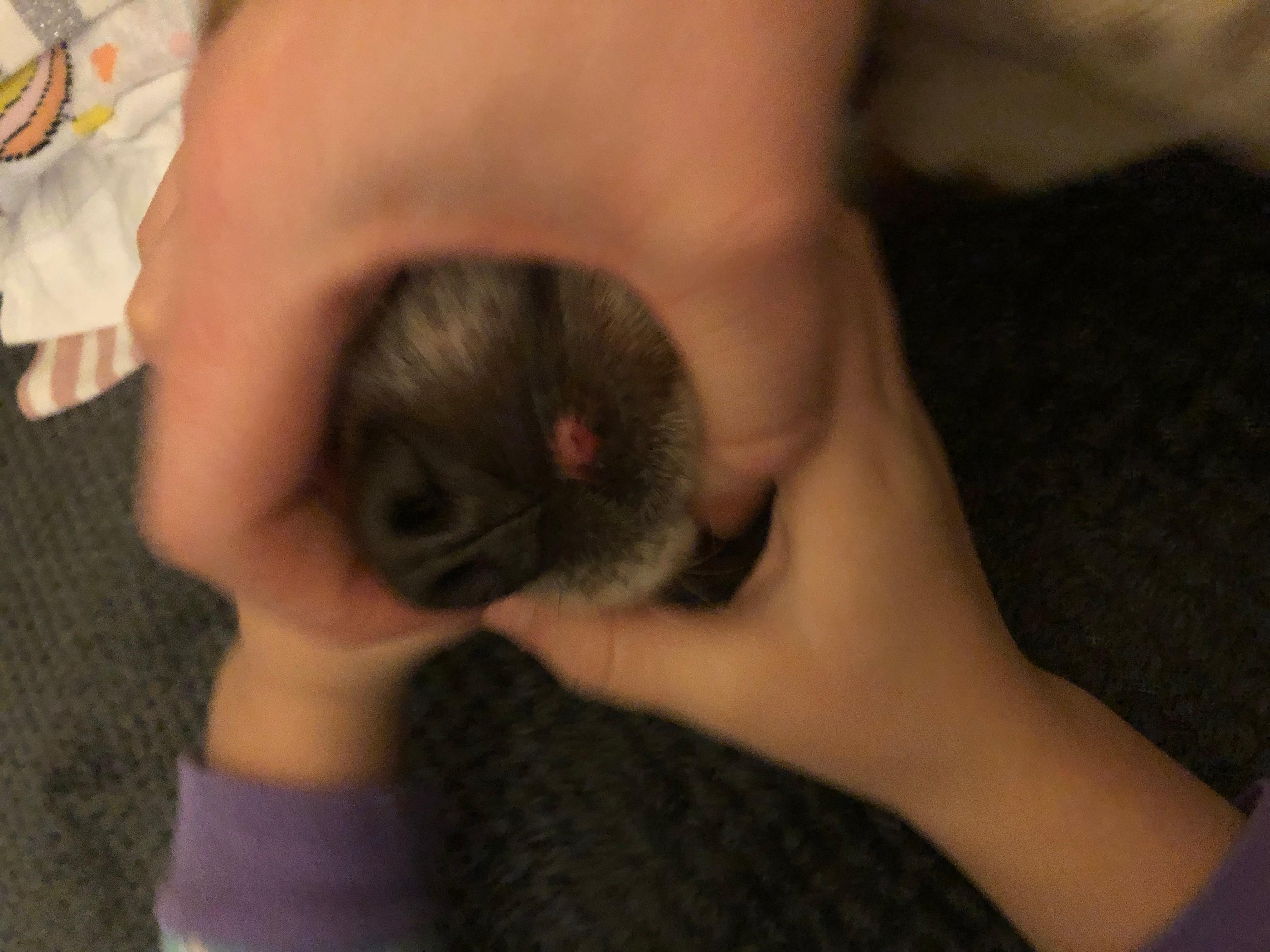 Question details sensitive content