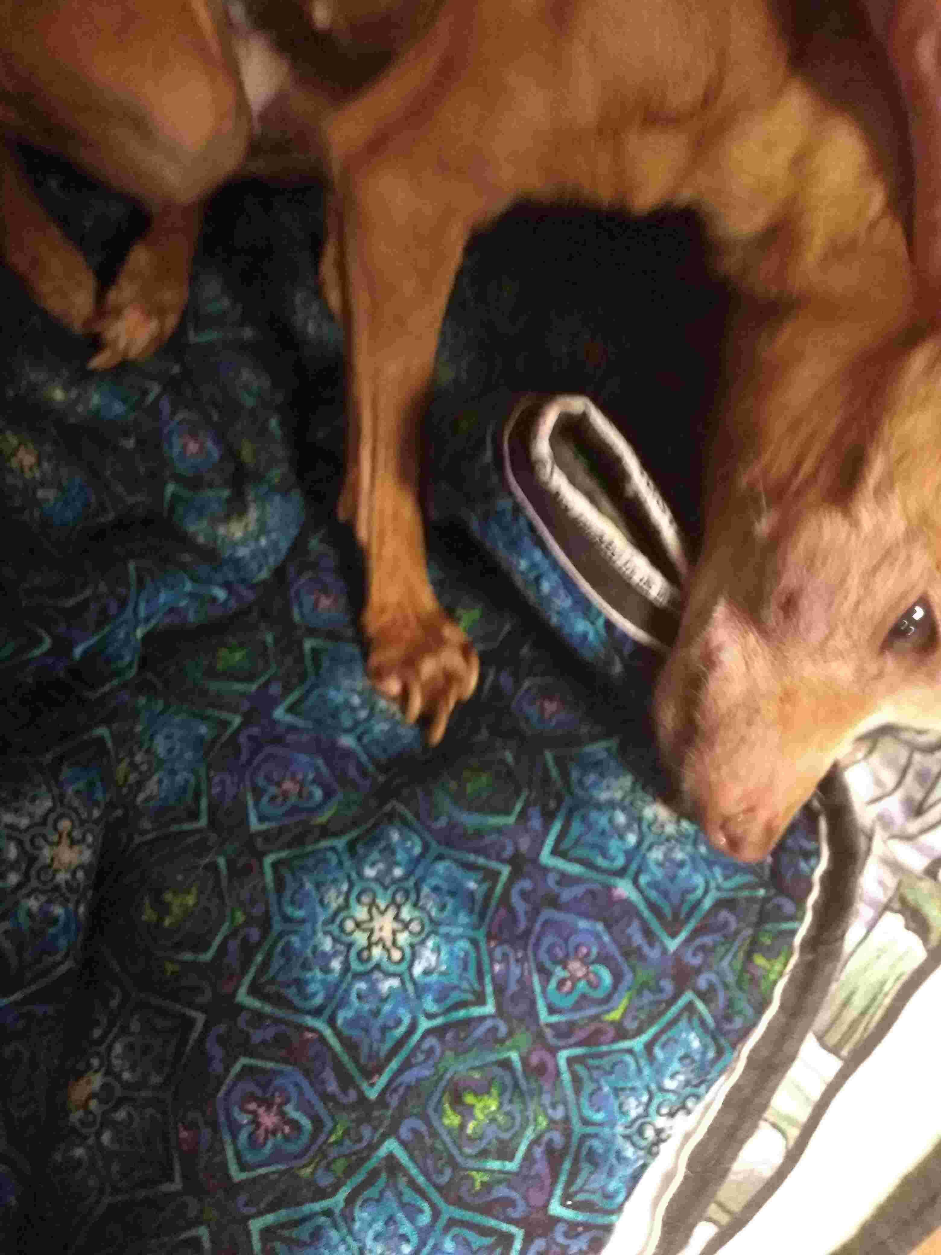 Question details sensitive content